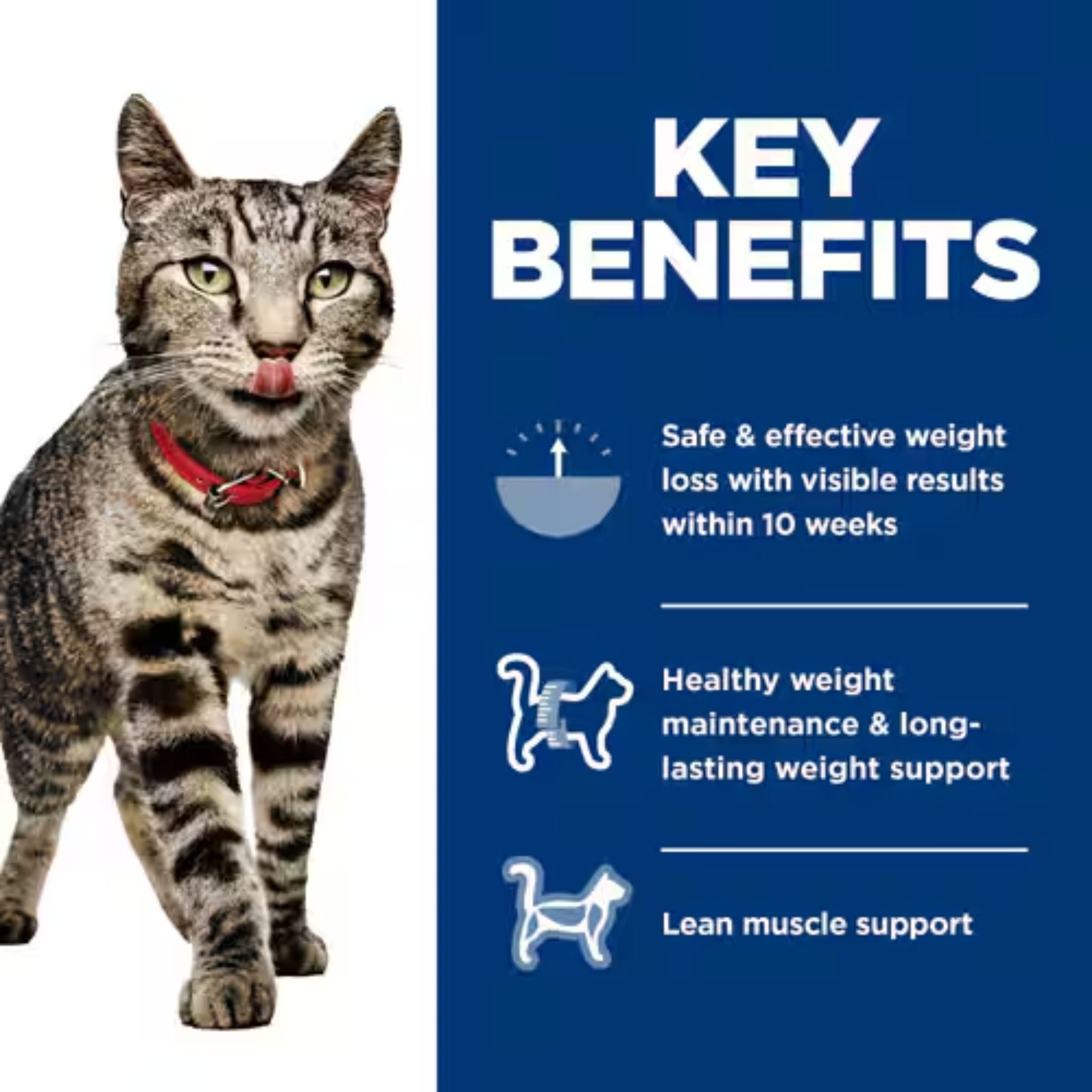 Hill's Science Diet Adult Perfect Weight Variety Pack Wet Cat Food