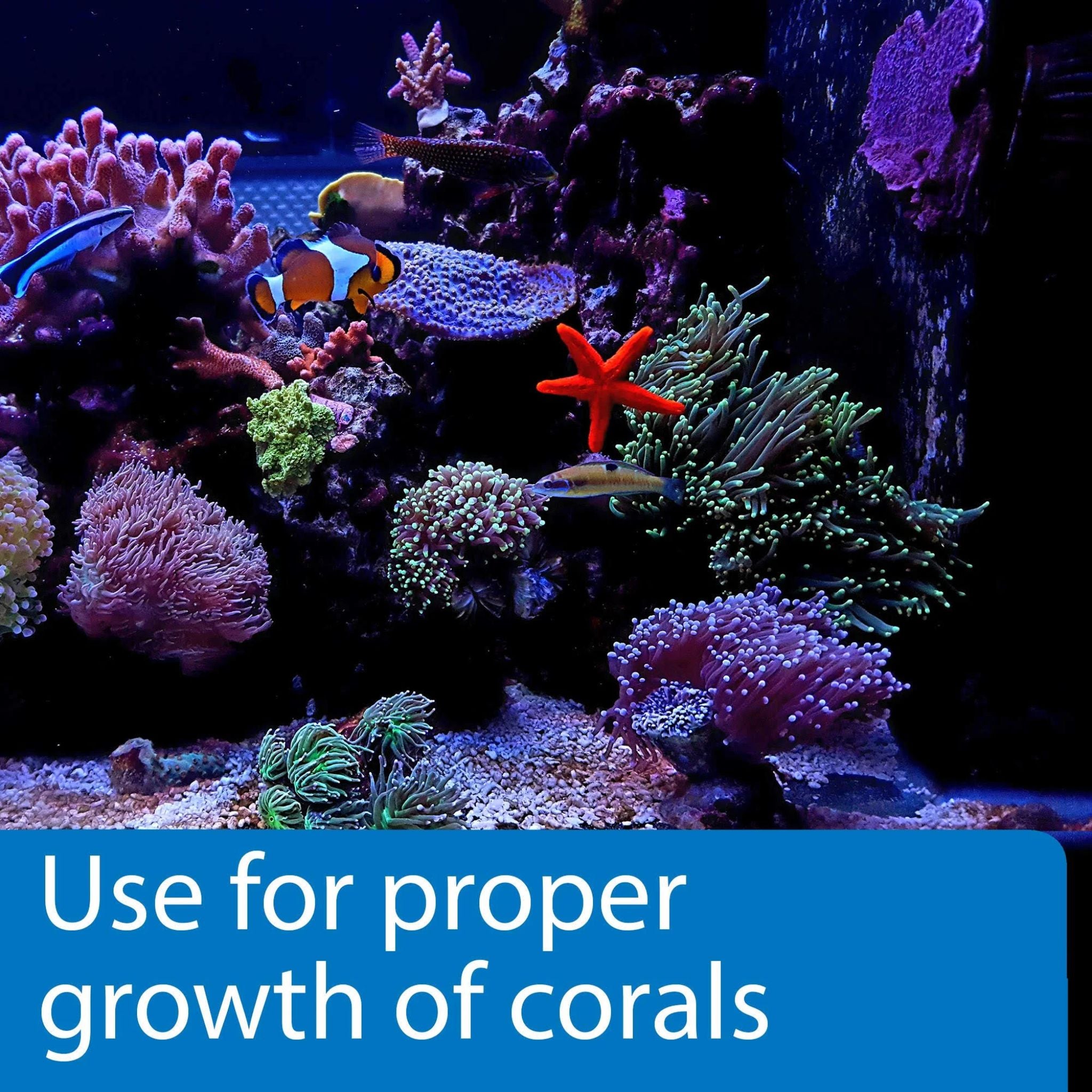 API Marine Complete Trace Aquarium Water Conditioner