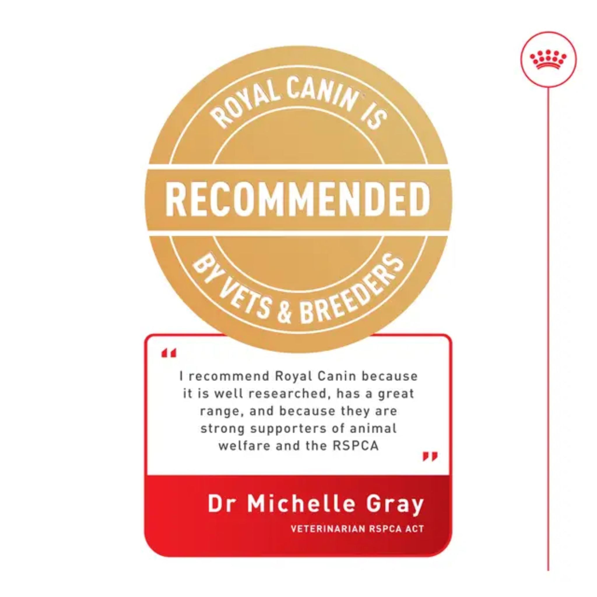 Royal Canin Mini Ageing 8+ Loaf Canned Wet Dog Food