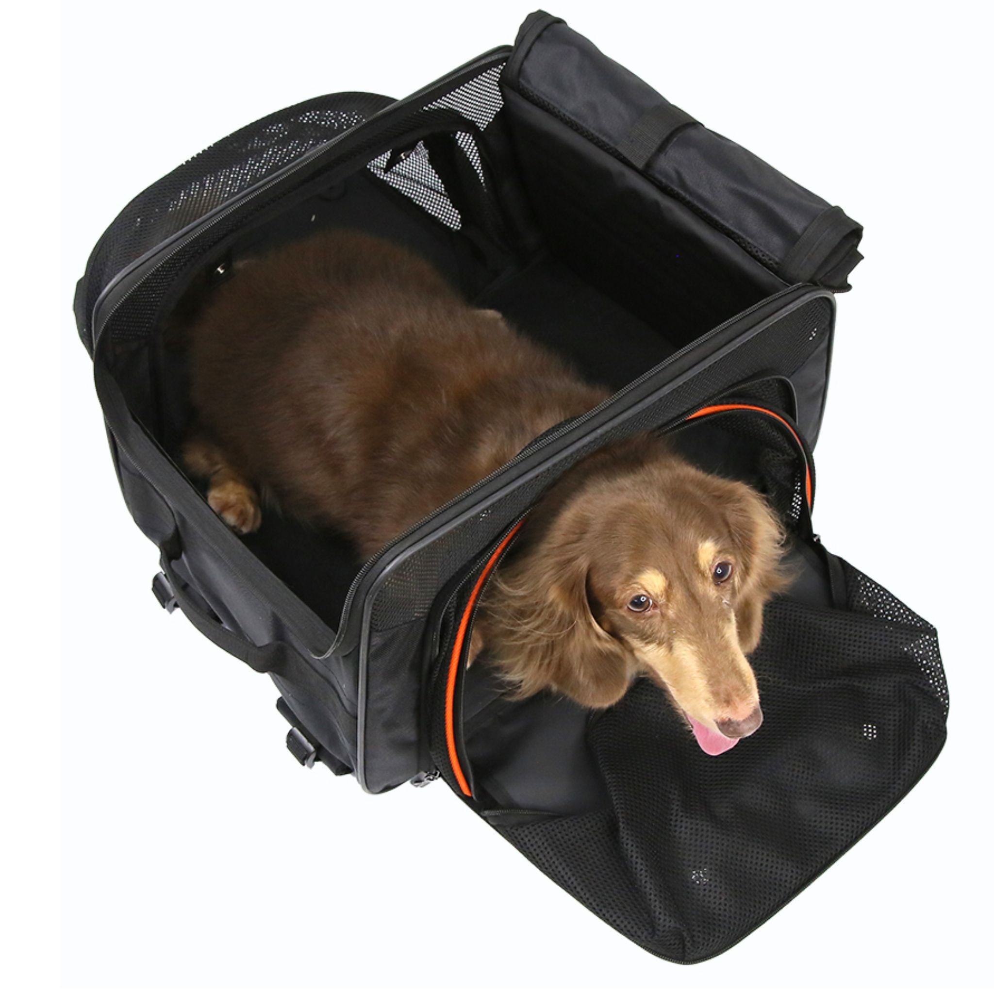 Ibiyaya JetPaw 3-in-1 Pet Stroller with Removable Carrier