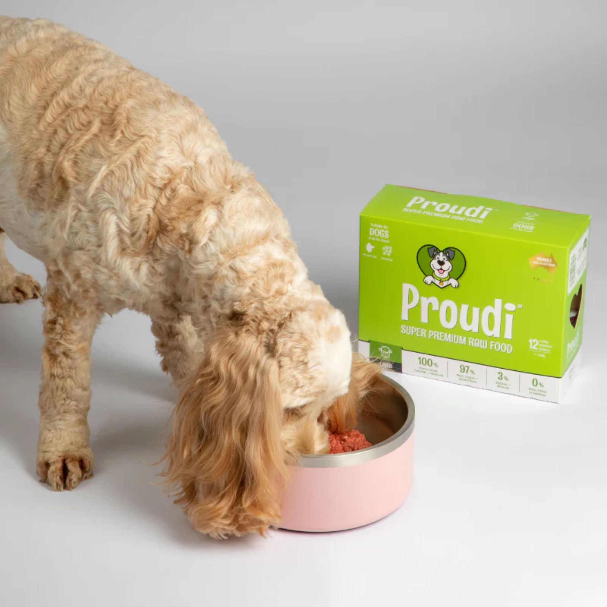 Proudi Lamb Raw Patties for Dogs