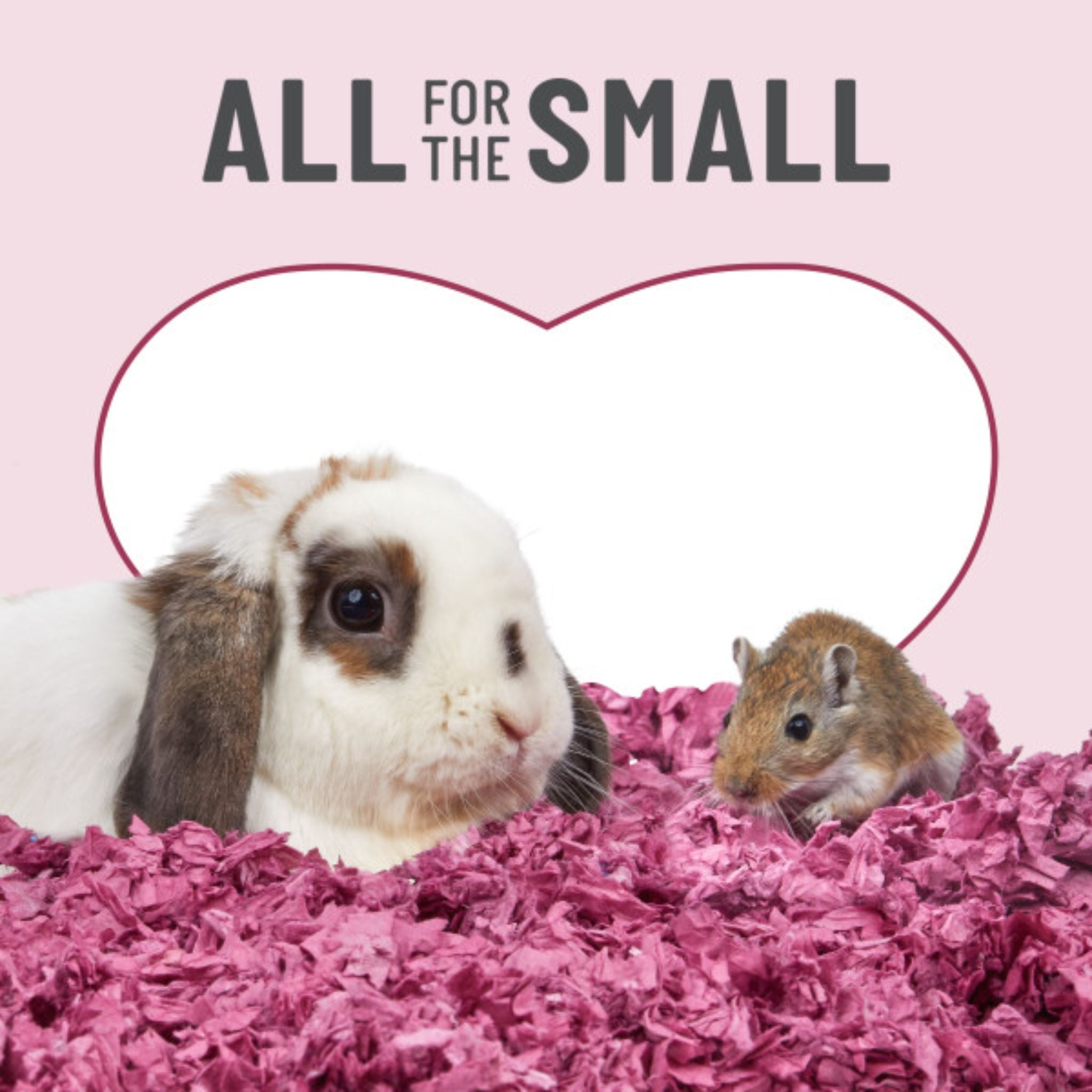 Kaytee Clean & Cozy Colors Plum Bedding