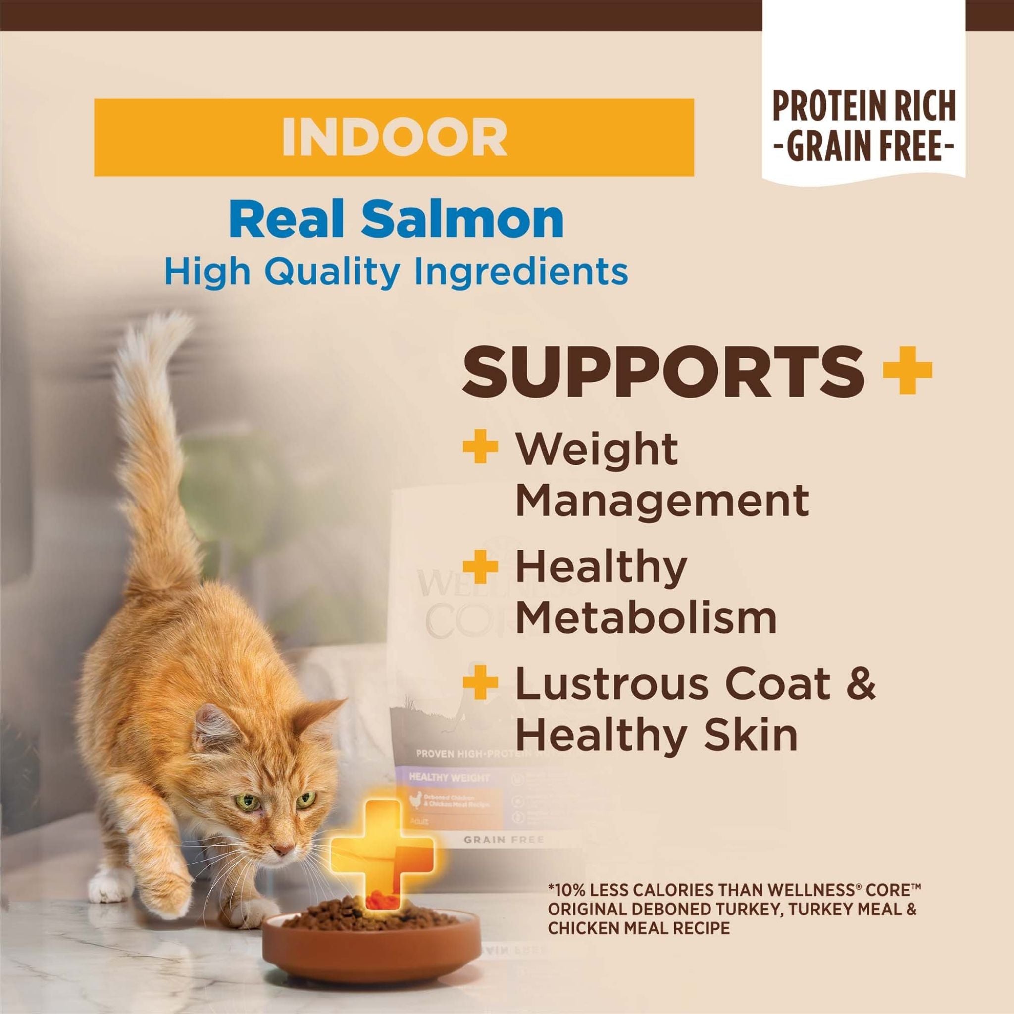 Wellness Core Dry Cat Food Grain Free Indoor: Salmon & Herring