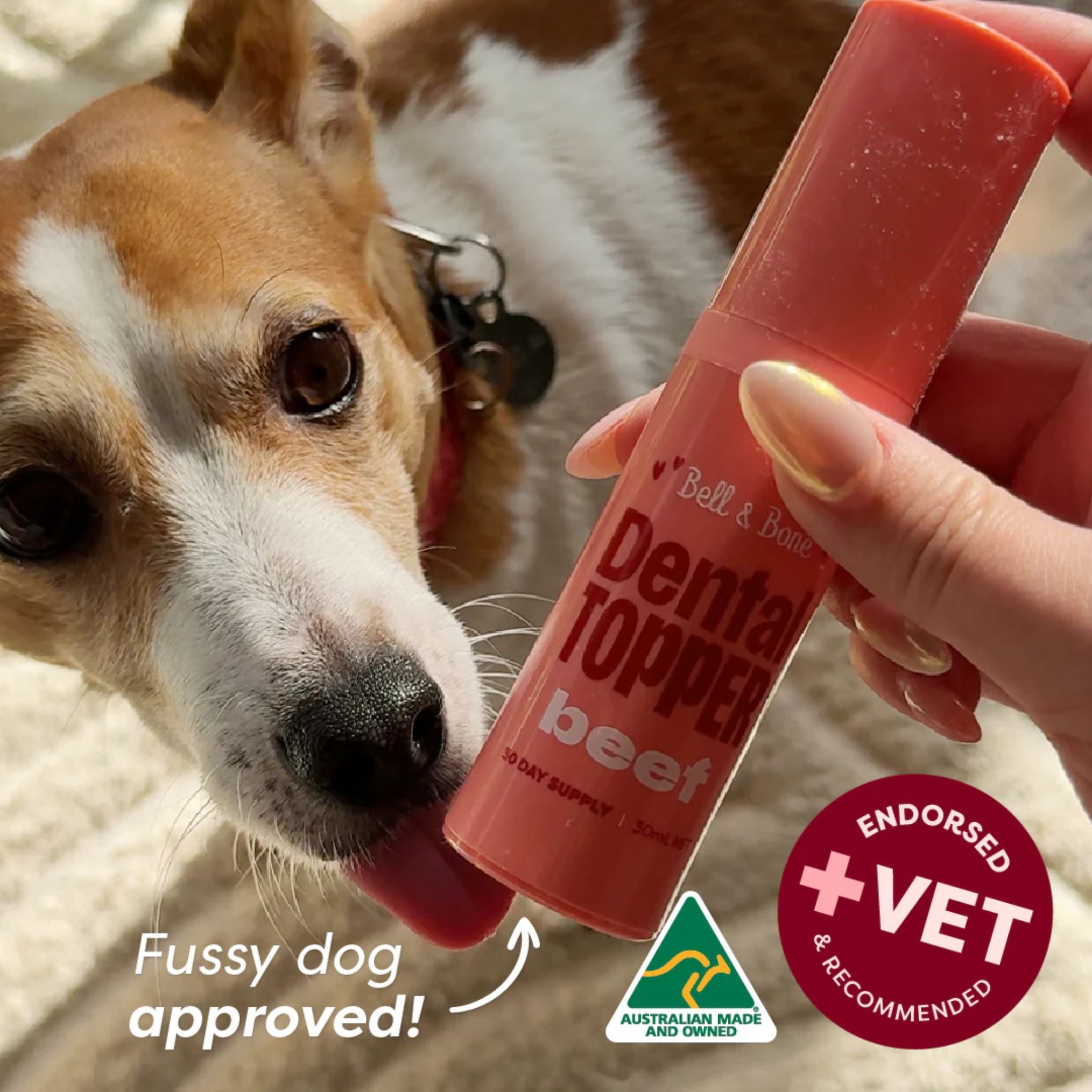 Bell and Bone Dog Dental Topper - Beef