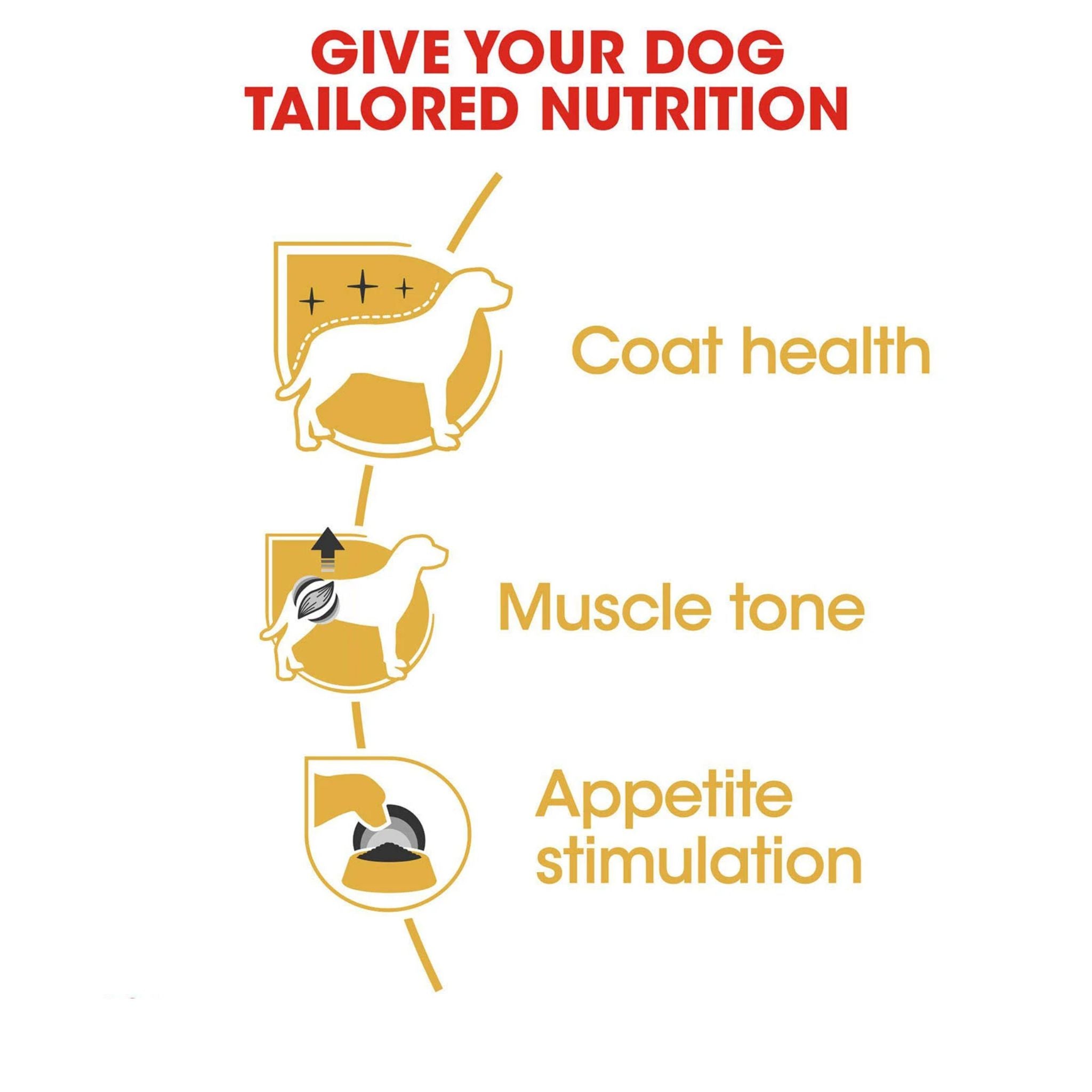 Royal Canin Poodle Loaf Wet Dog Food