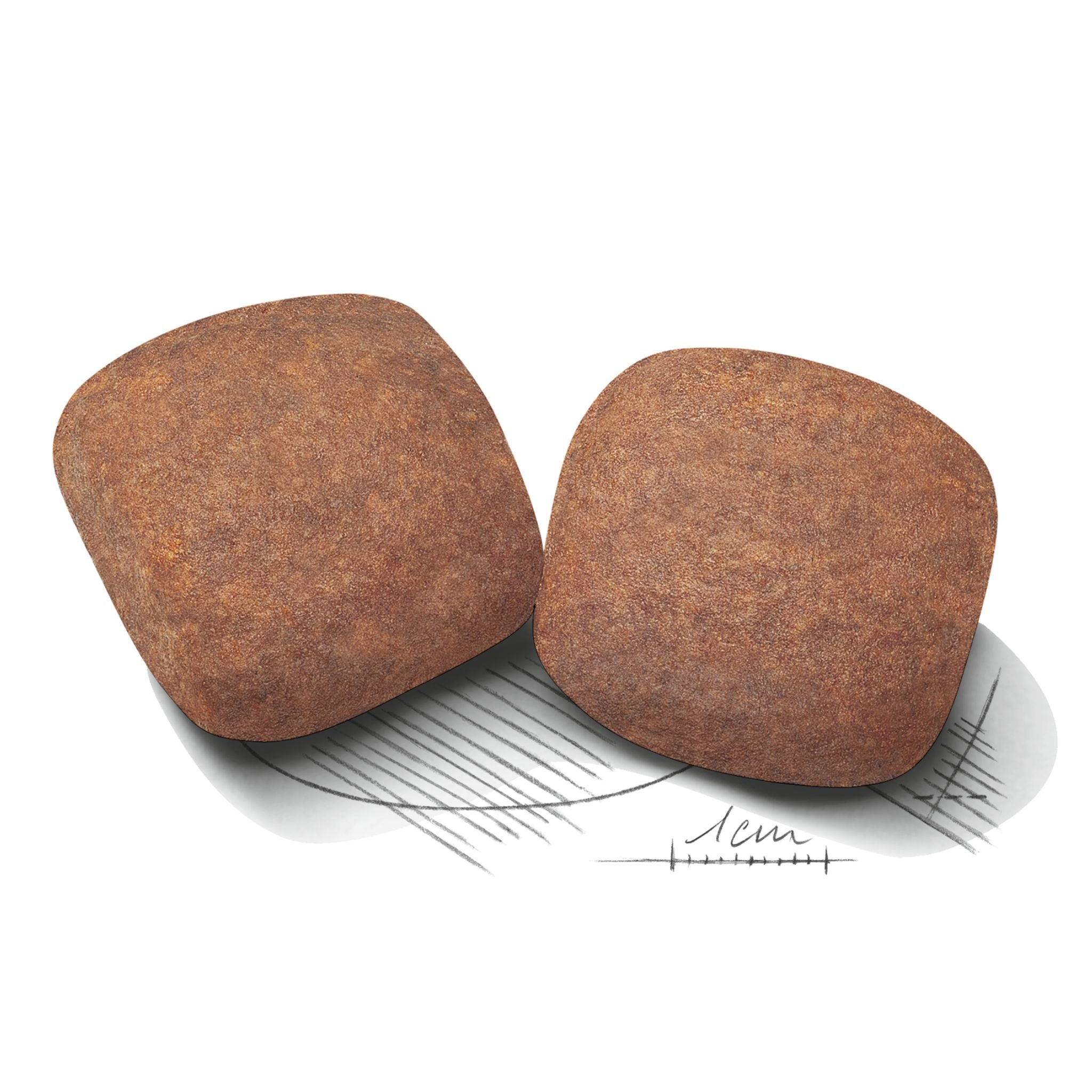 Royal Canin Giant Adult