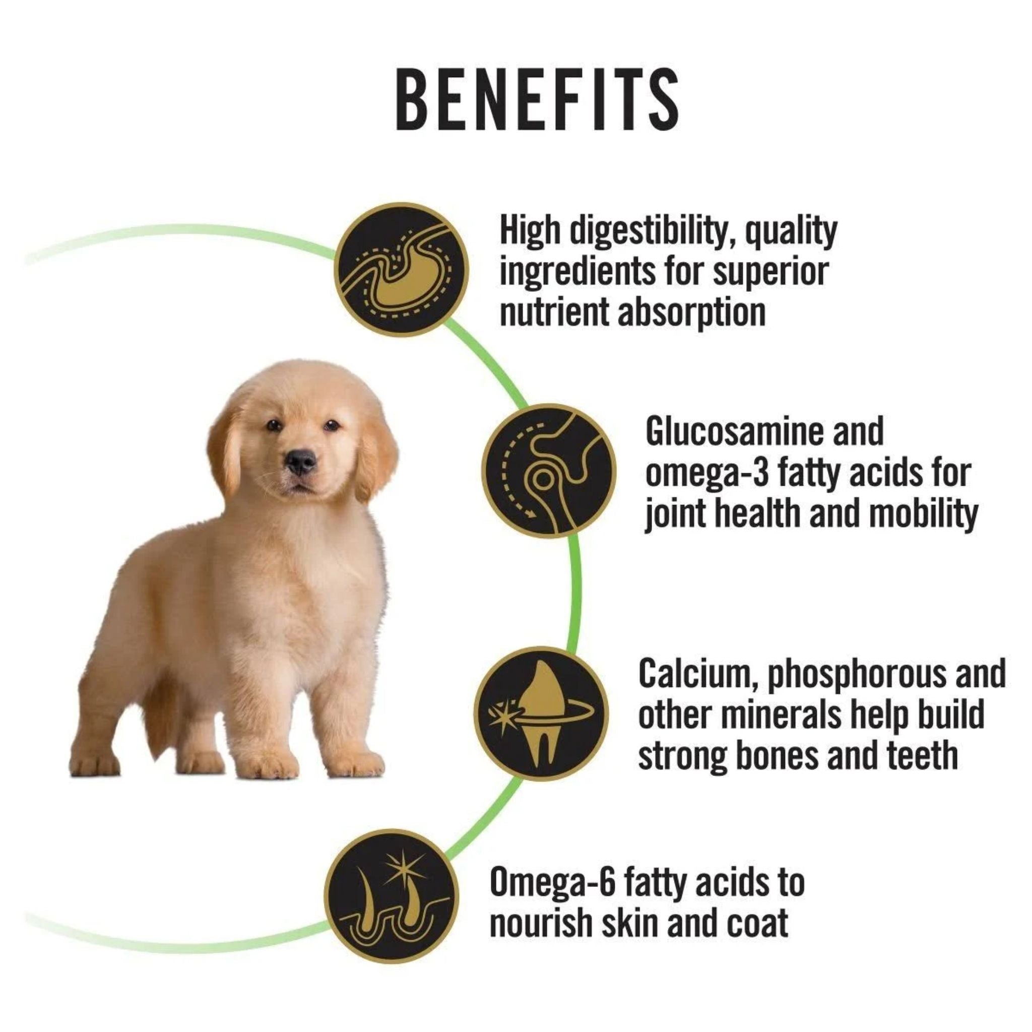 PRO PLAN Puppy Large Breed Chicken Dry Dog Food