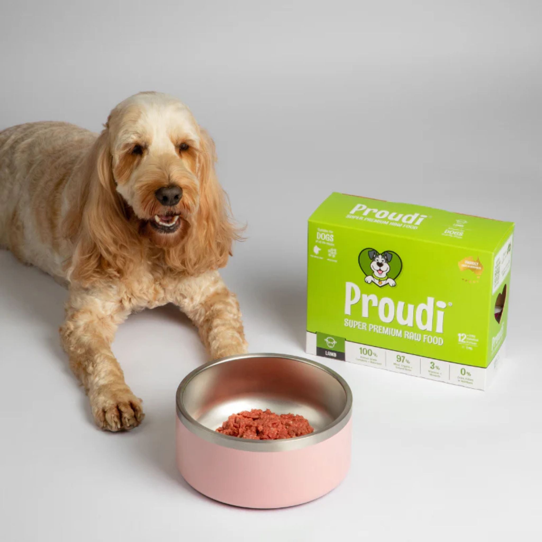 Proudi Lamb Raw Patties for Dogs
