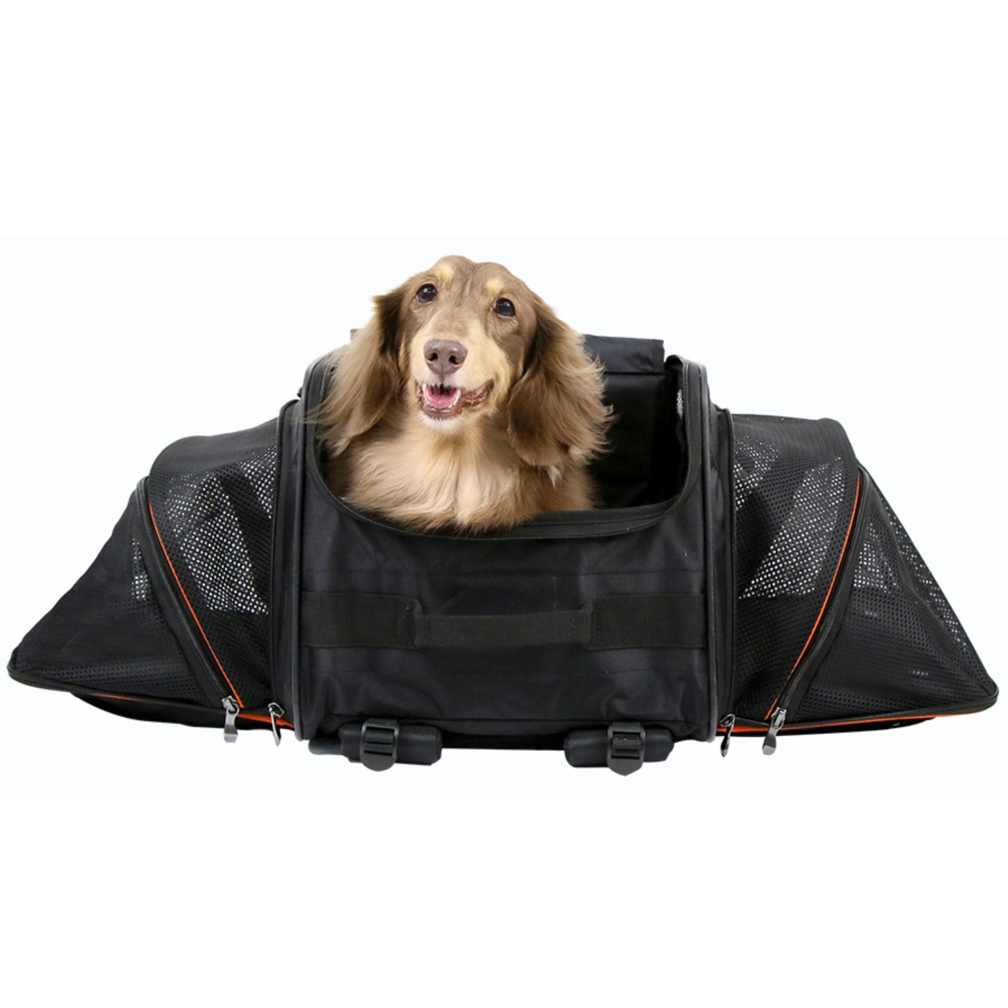 Ibiyaya JetPaw 3-in-1 Pet Stroller with Removable Carrier
