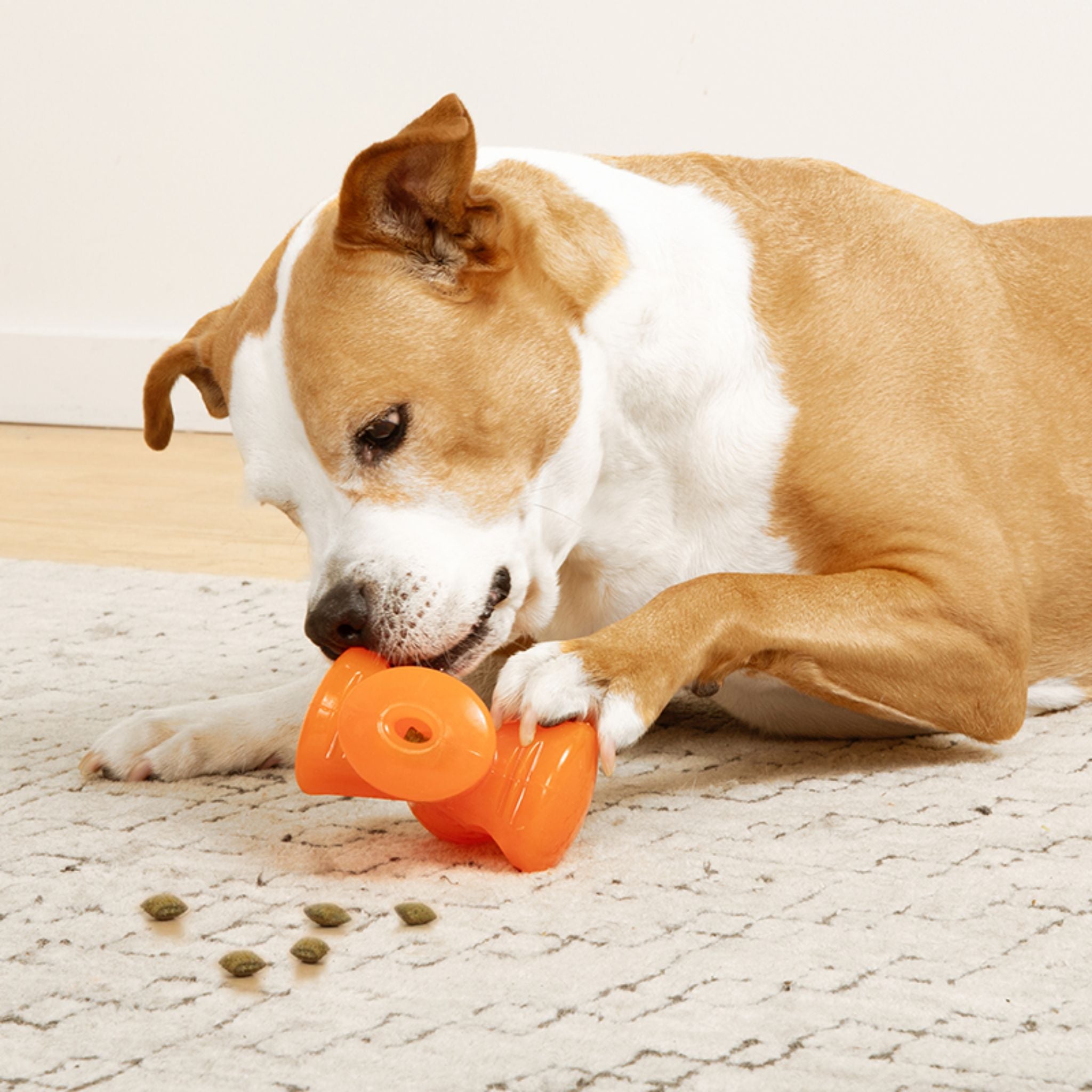 Bionic Stuff Dog Toys