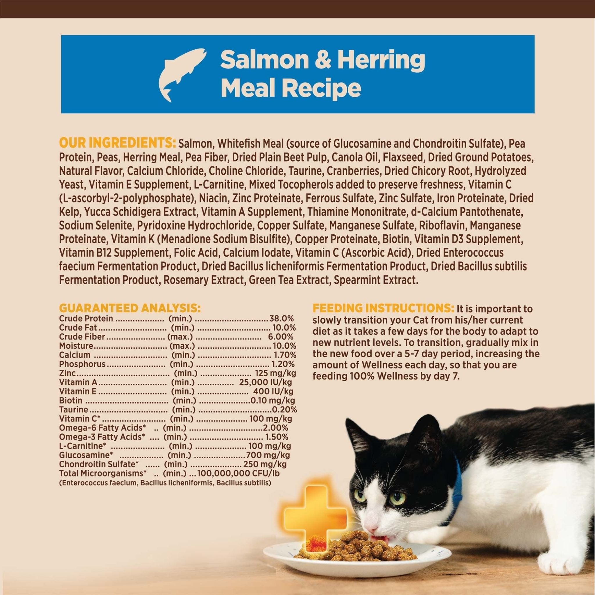 Wellness Core Dry Cat Food Grain Free Indoor: Salmon & Herring