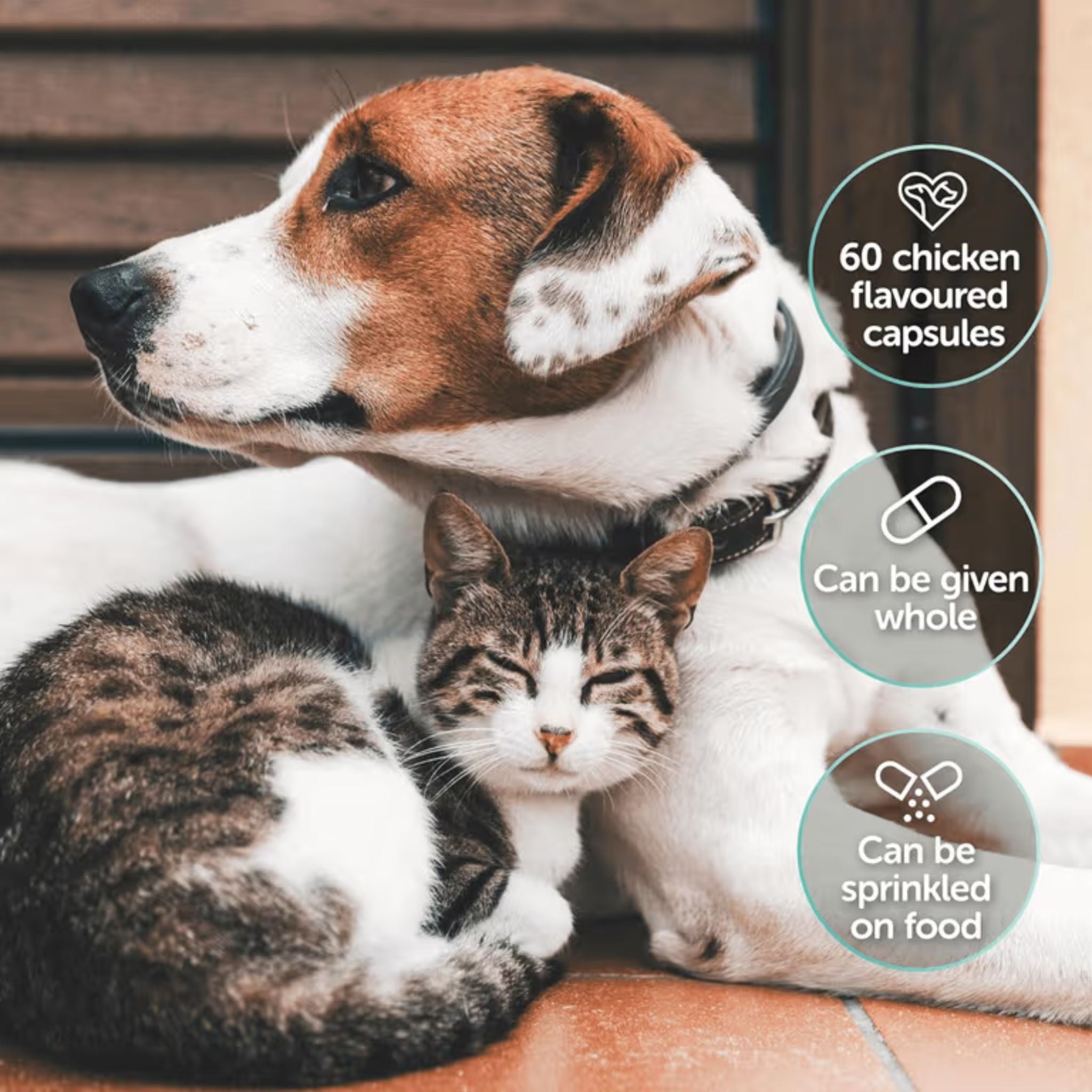 Protexin Veterinary Cobalazorb Oral Vitamin B12 Dogs and Cats