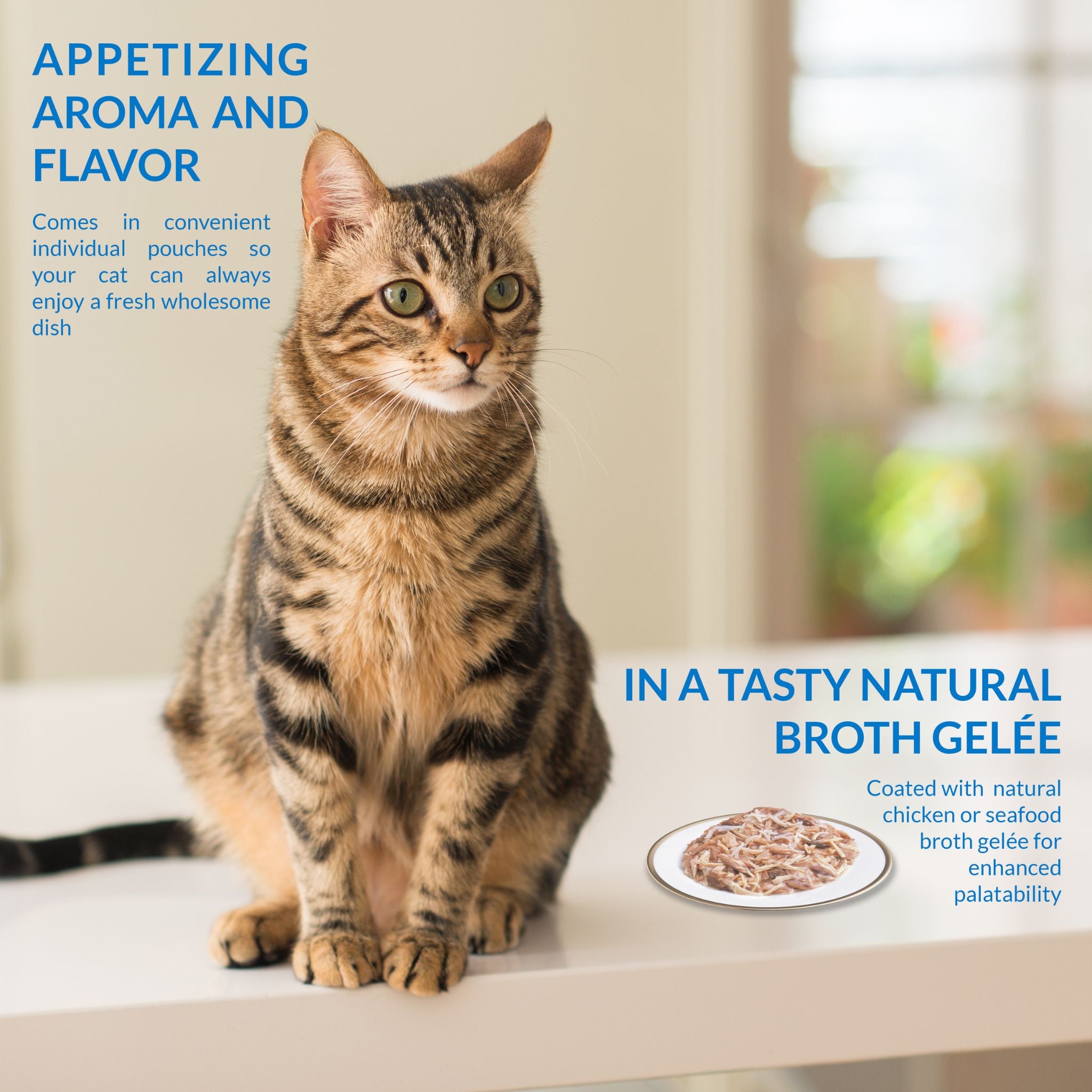 Inaba Cat Treat Twin Packs Tuna & Chicken In Scallop Broth