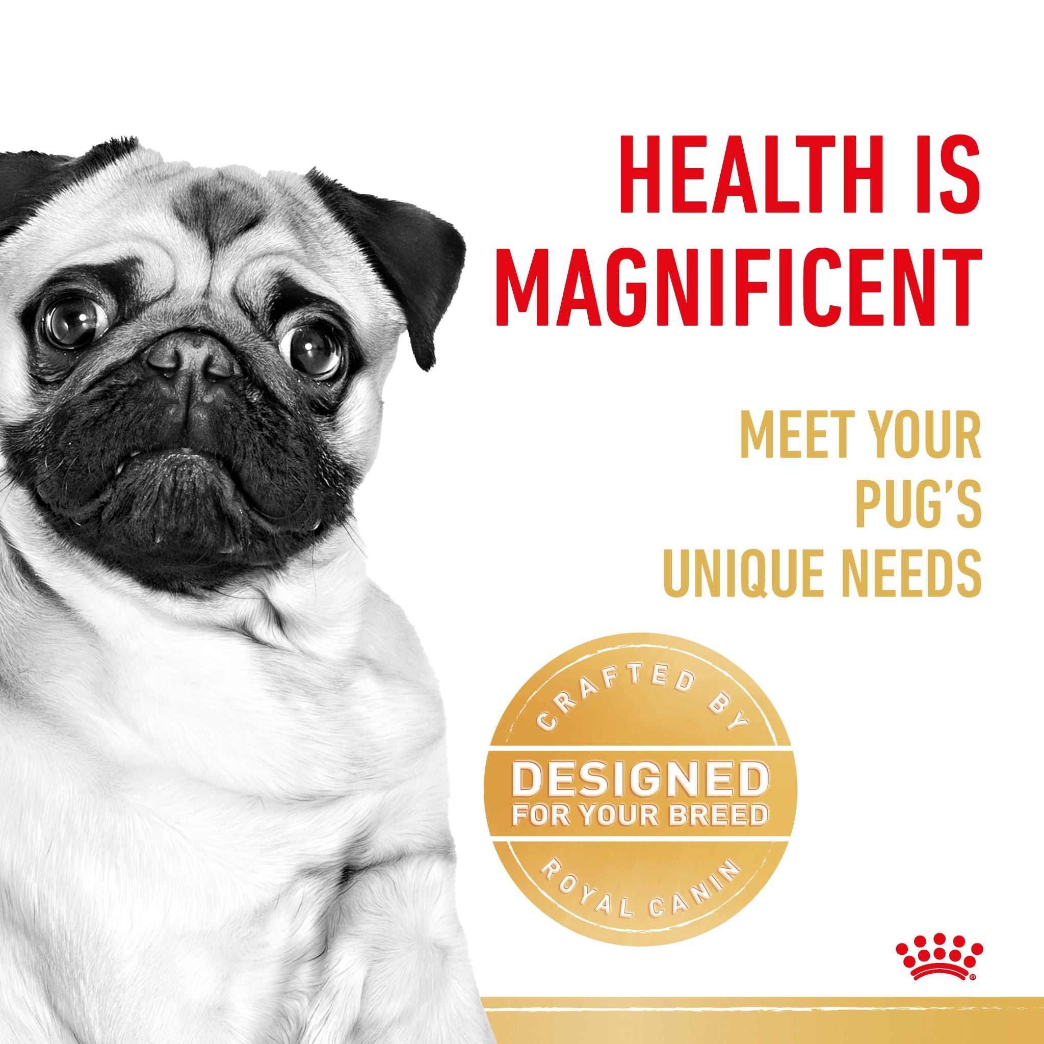 Royal Canin Pug