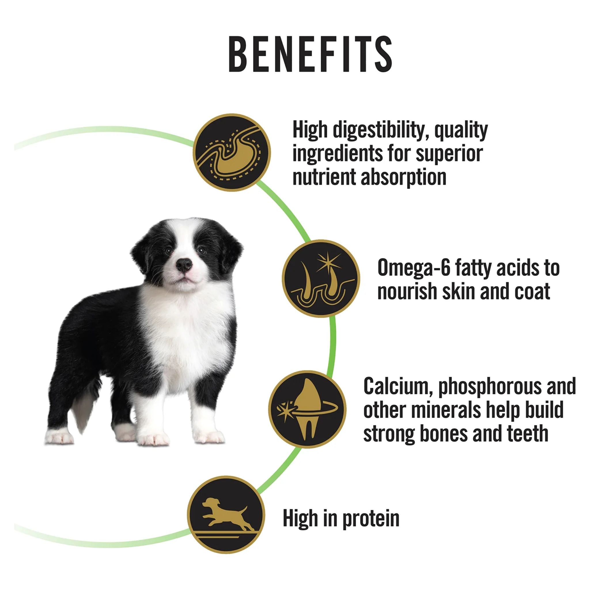 PRO PLAN Puppy Medium Breed Chicken Dry Dog Food