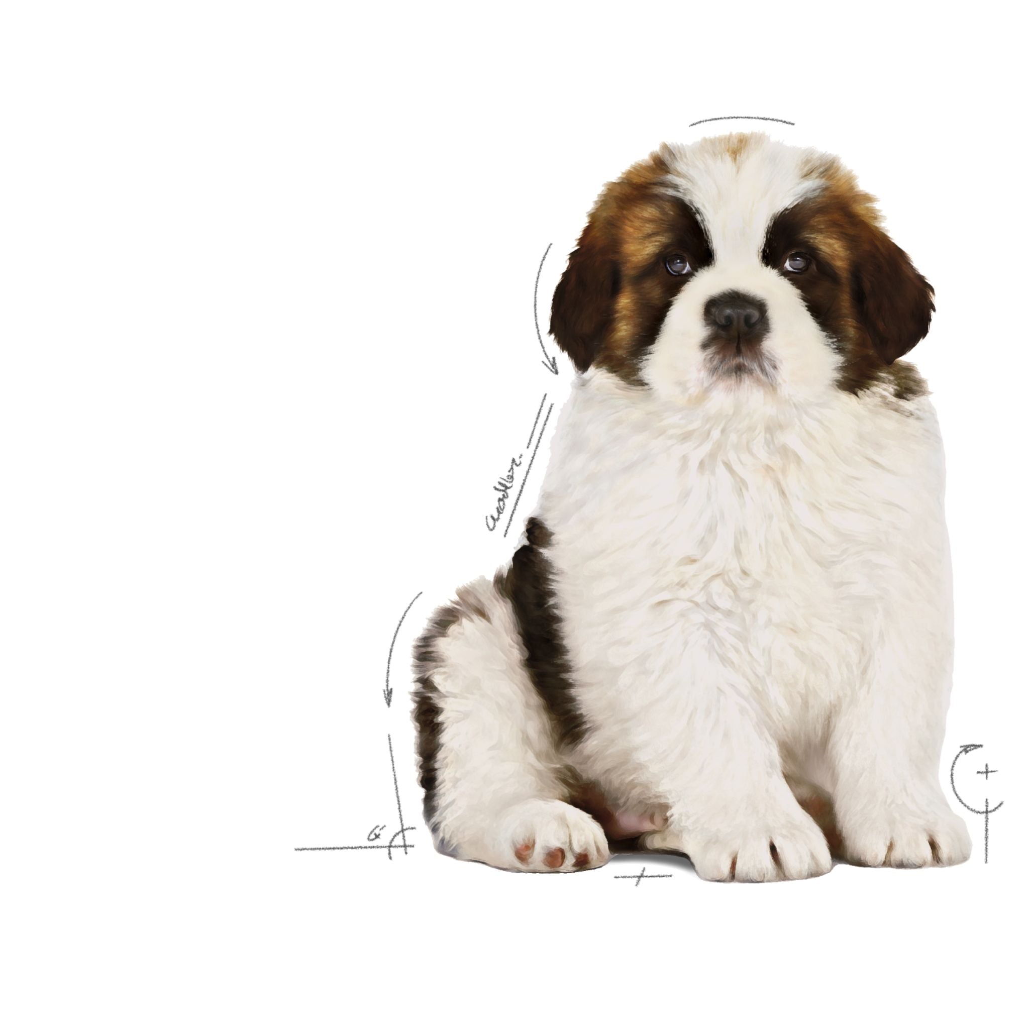 Royal Canin Giant Puppy