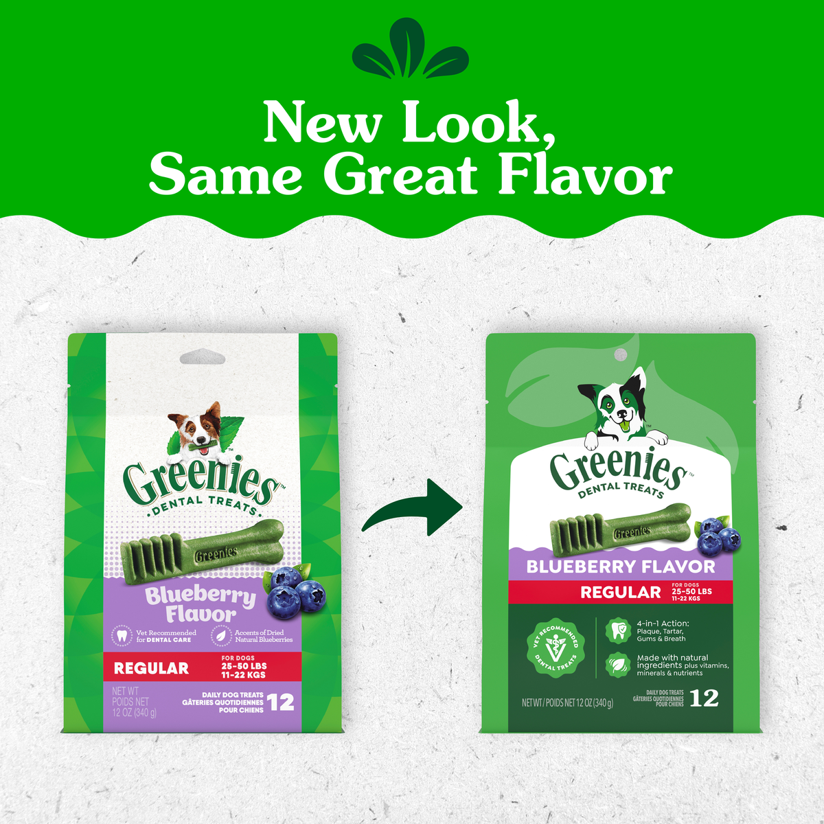 GREENIES packaging update: old and new Blueberry Flavour Regular packs side by side