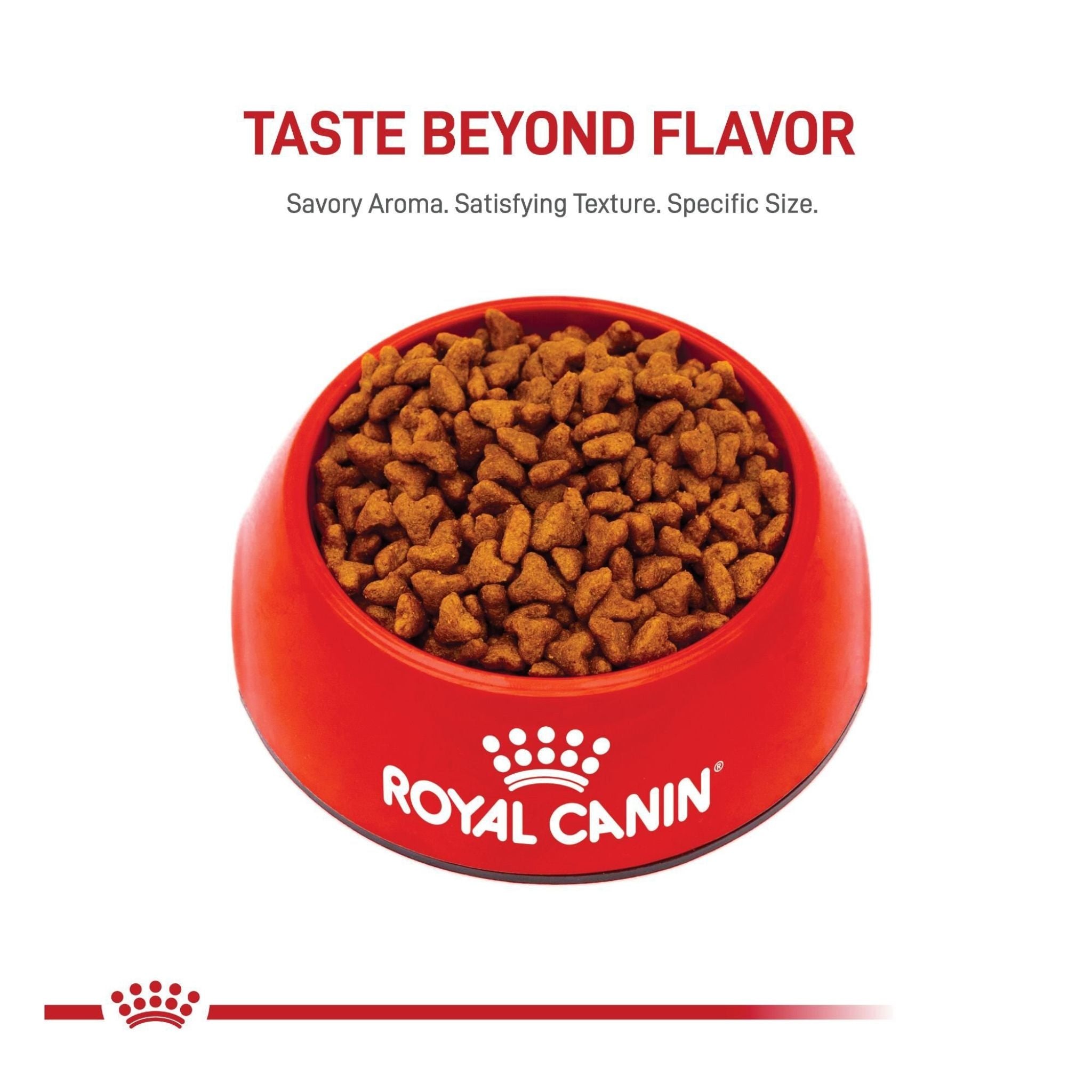 Royal Canin Pug Puppy