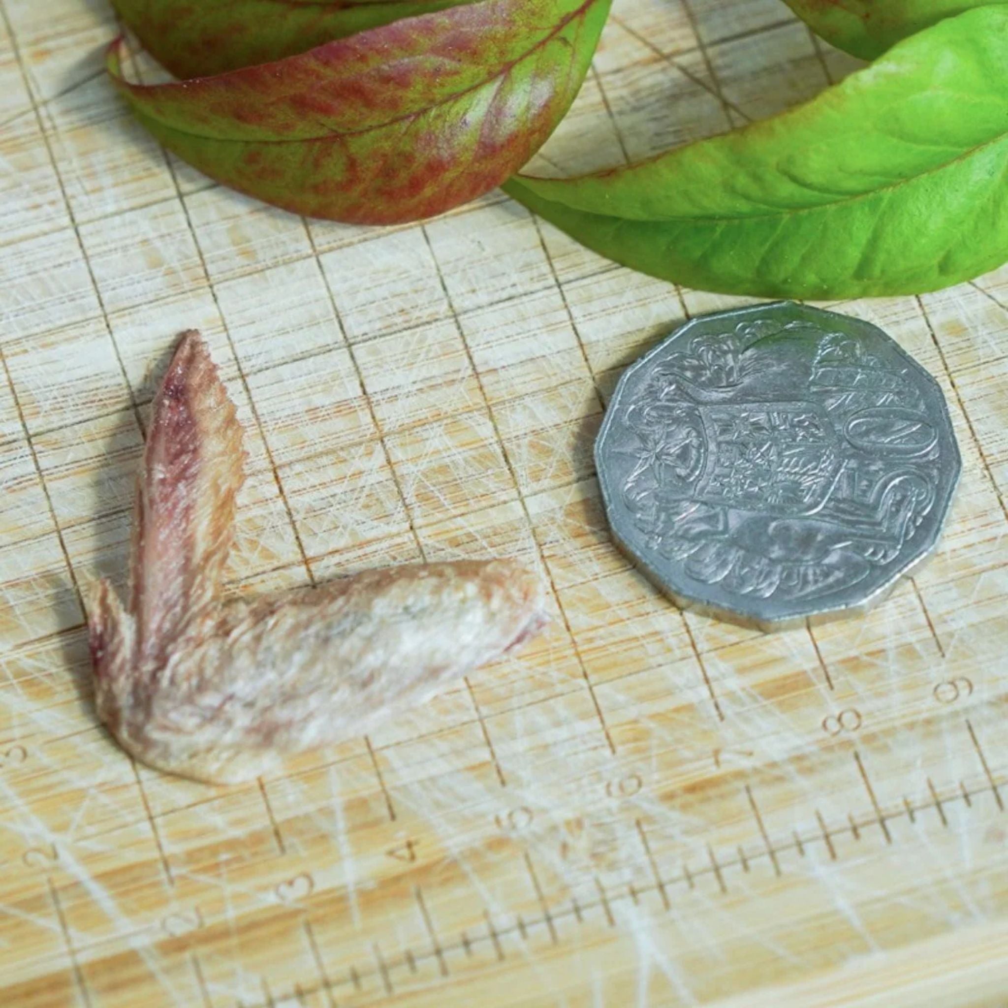 FuReeze Dried Quail Freeze Dried Pet Treats