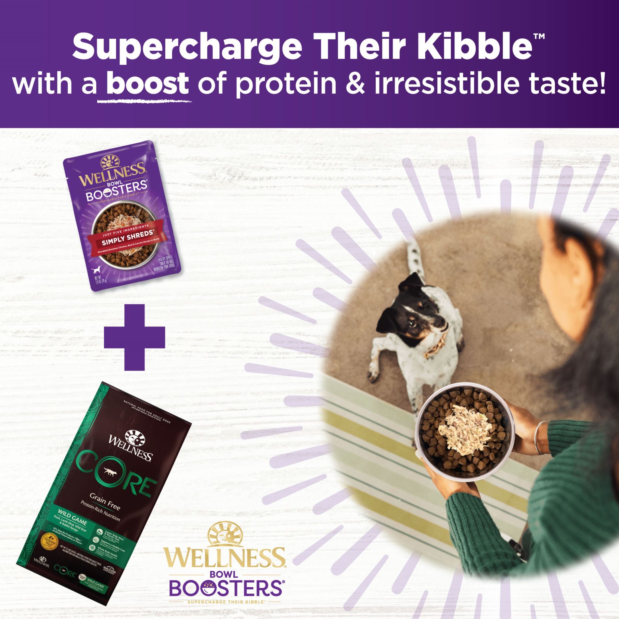 Wellness Core Wet Dog Food Simply Shreds Shredded Boneless Chicken, Beef & Carrots