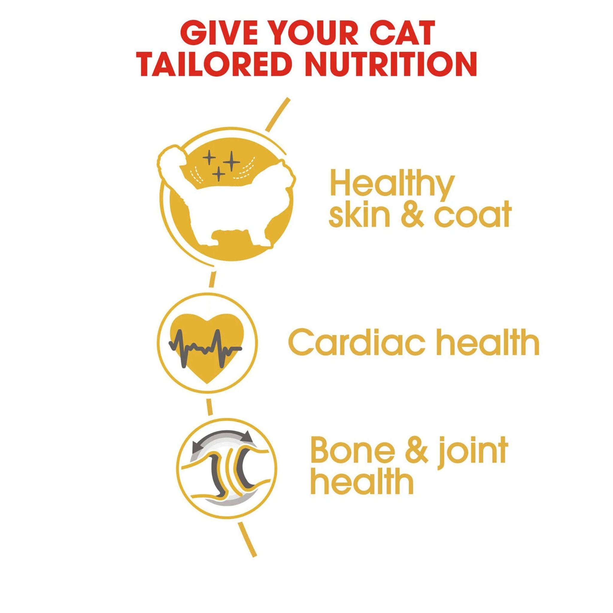 Royal Canin Ragdoll Dry Cat Food