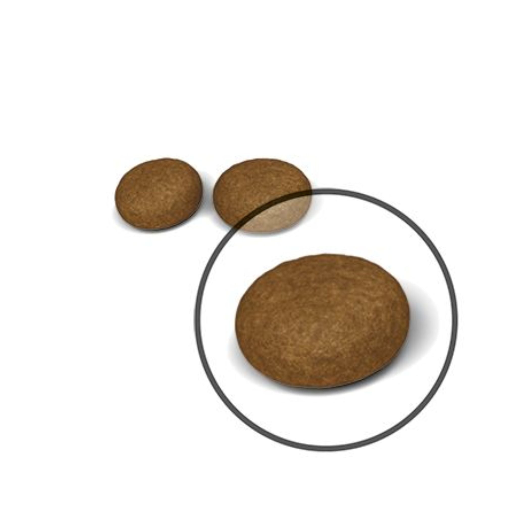 Royal Canin Hair & Skin Care Dry Cat Food