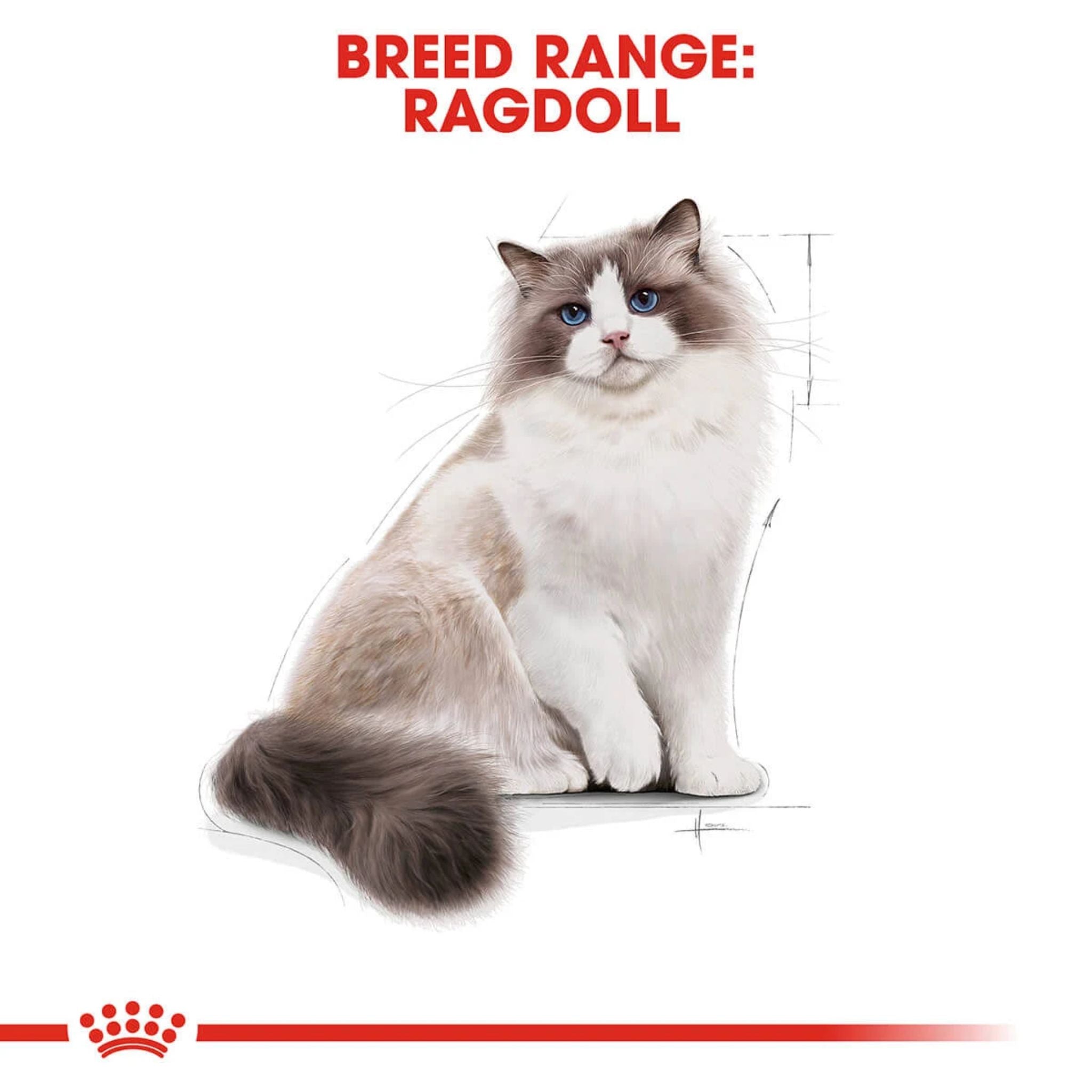 Royal Canin Ragdoll Dry Cat Food