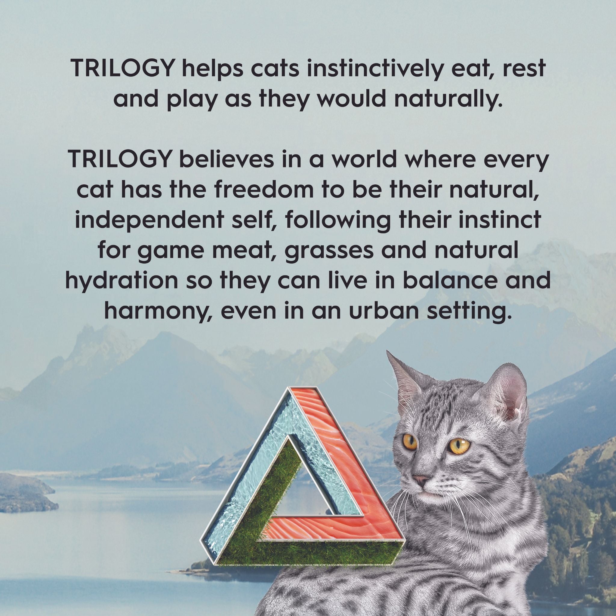 Trilogy Dry Adult Cat Food Australian Salmon + Freeze Dried Lamb