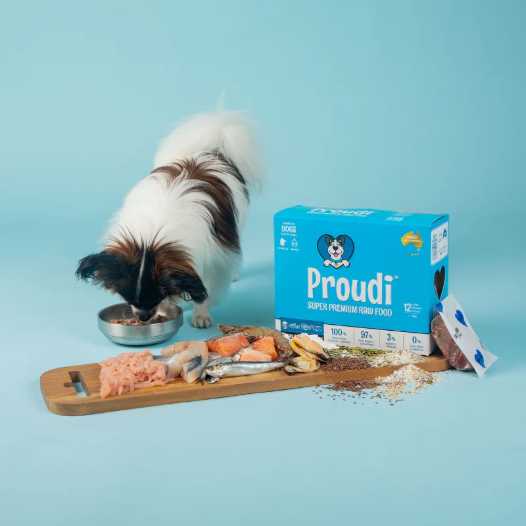 Proudi Ocean Combo and Turkey Raw Patties for Dogs
