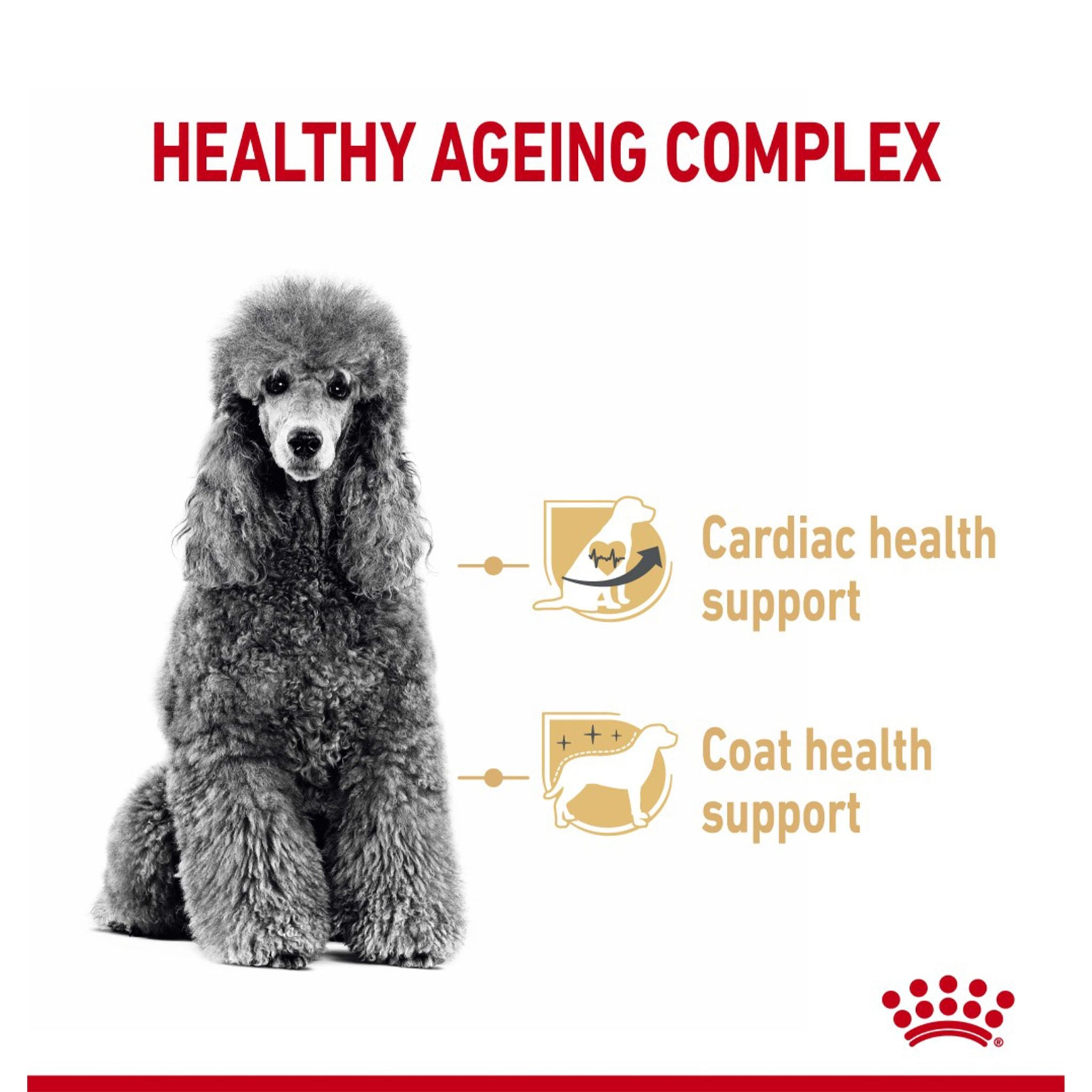 Royal Canin Poodle 8+ Dry Dog Food