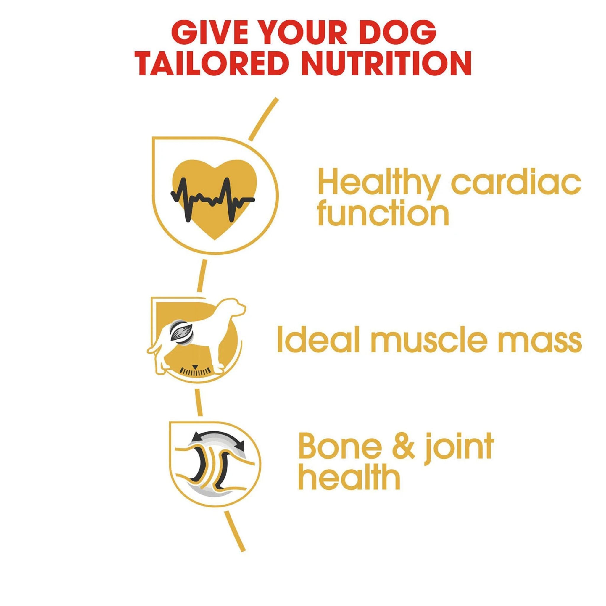 Royal Canin Rottweiler