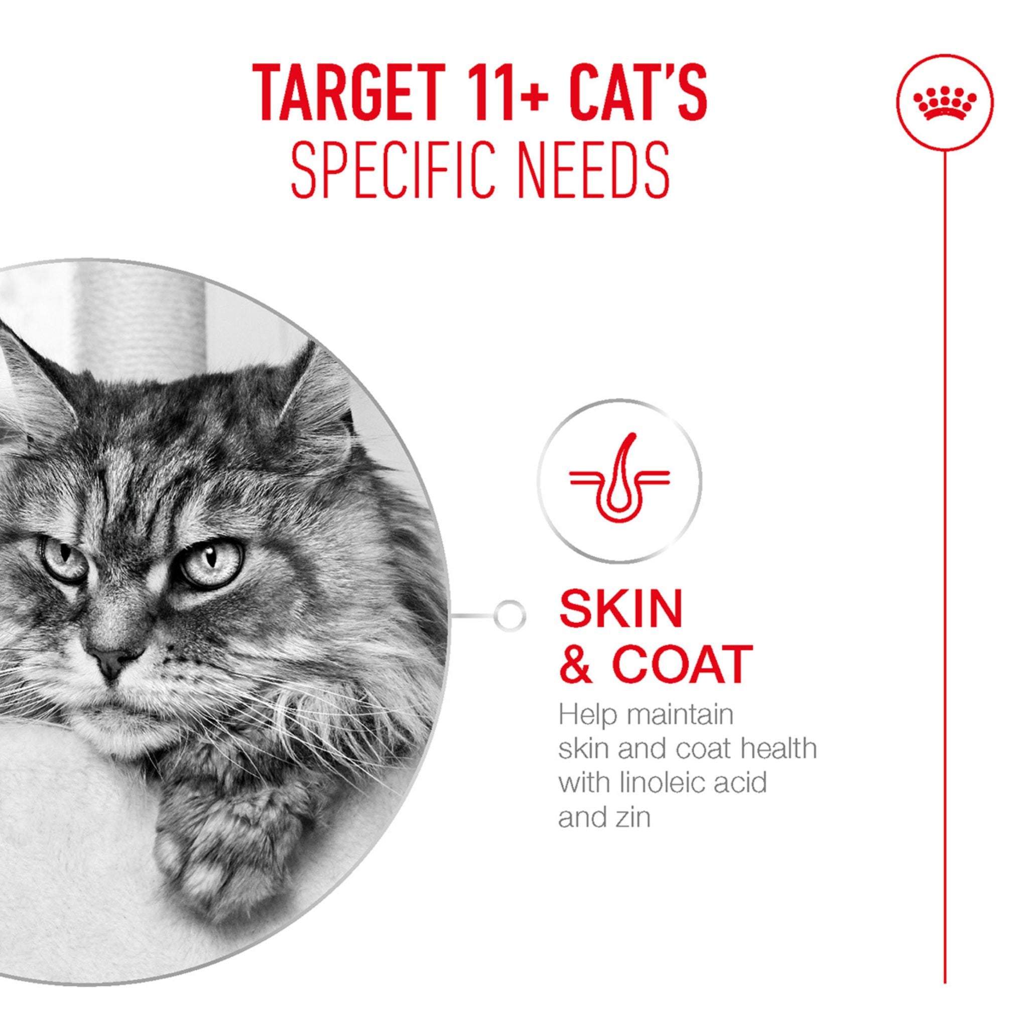 Royal Canin Ageing 11+ Dry Cat Food