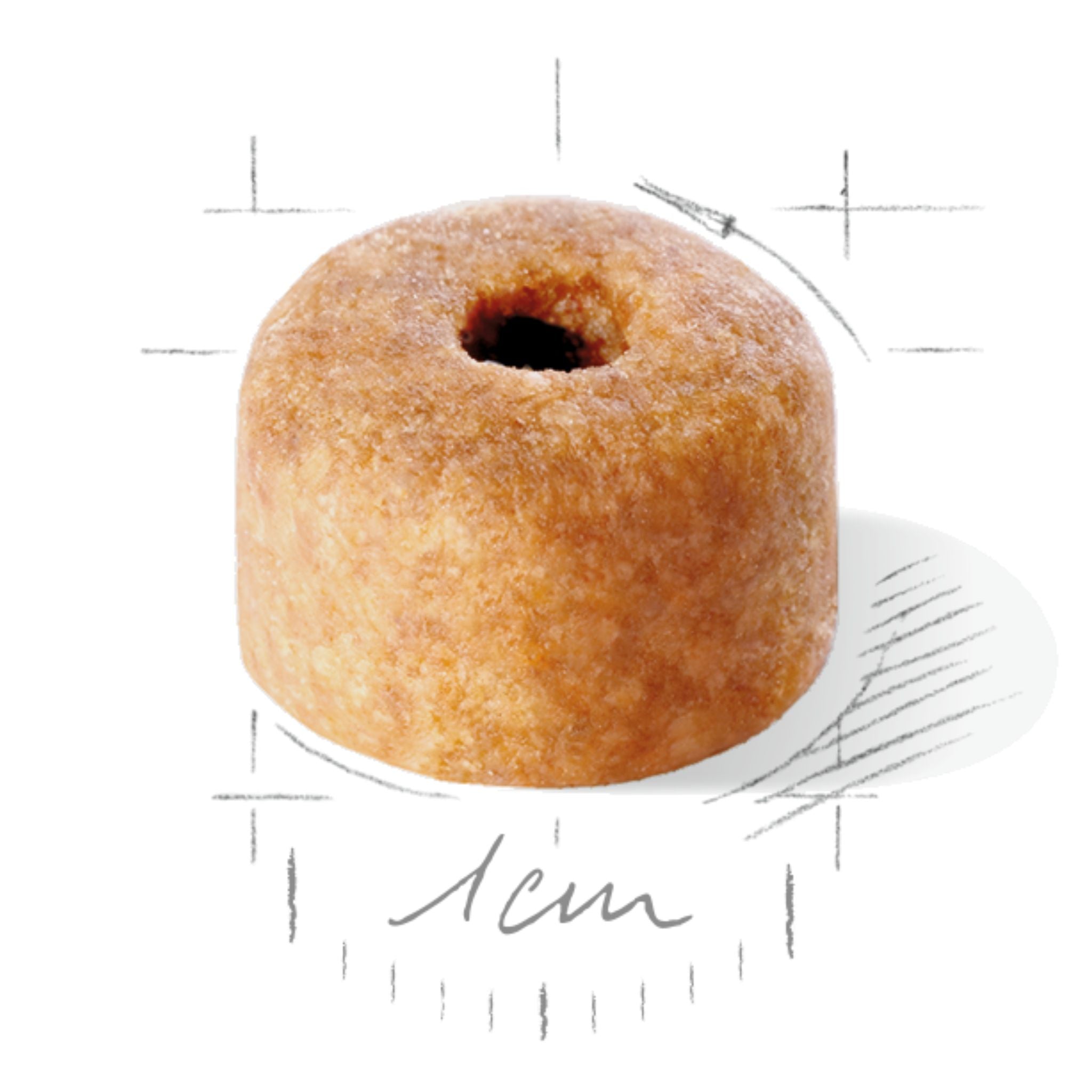 Royal Canin Labrador Retriever Puppy