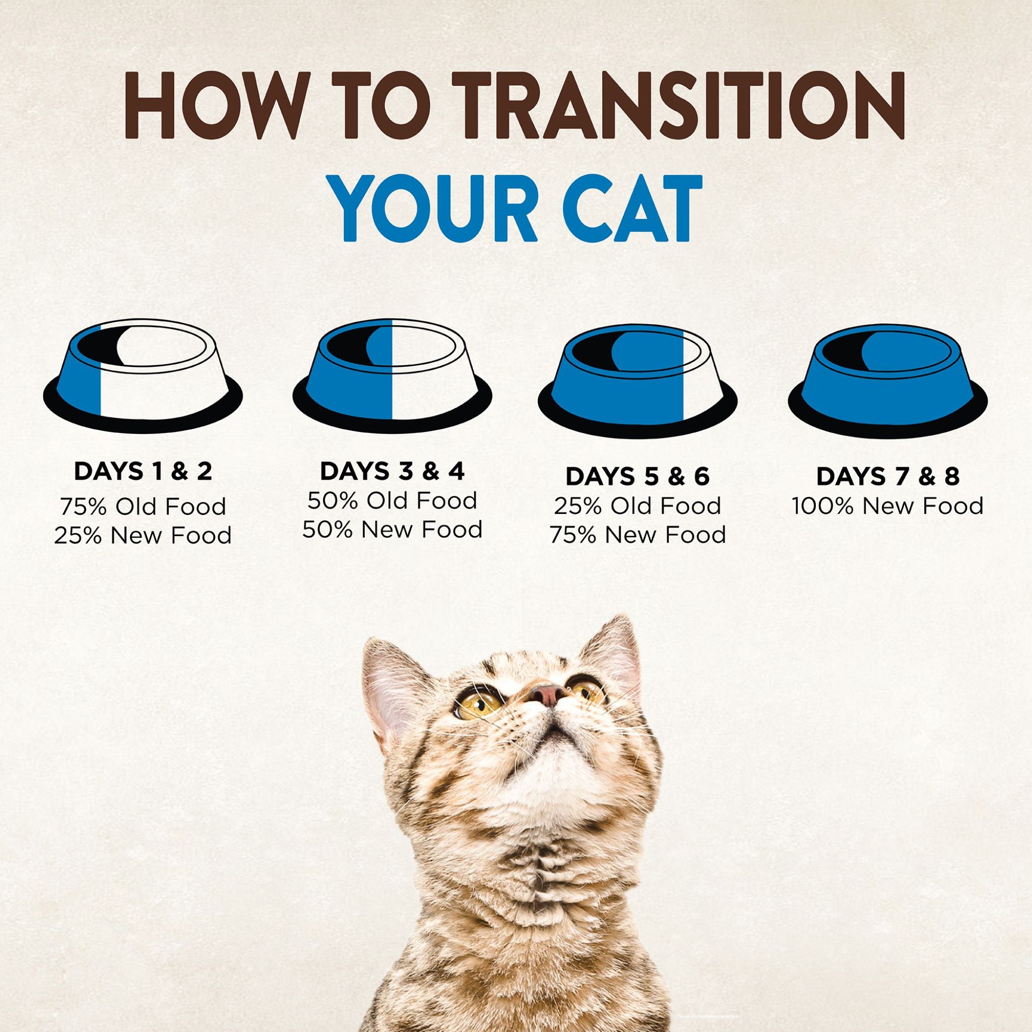 Wellness Core Dry Cat Food Grain Free Indoor: Salmon & Herring