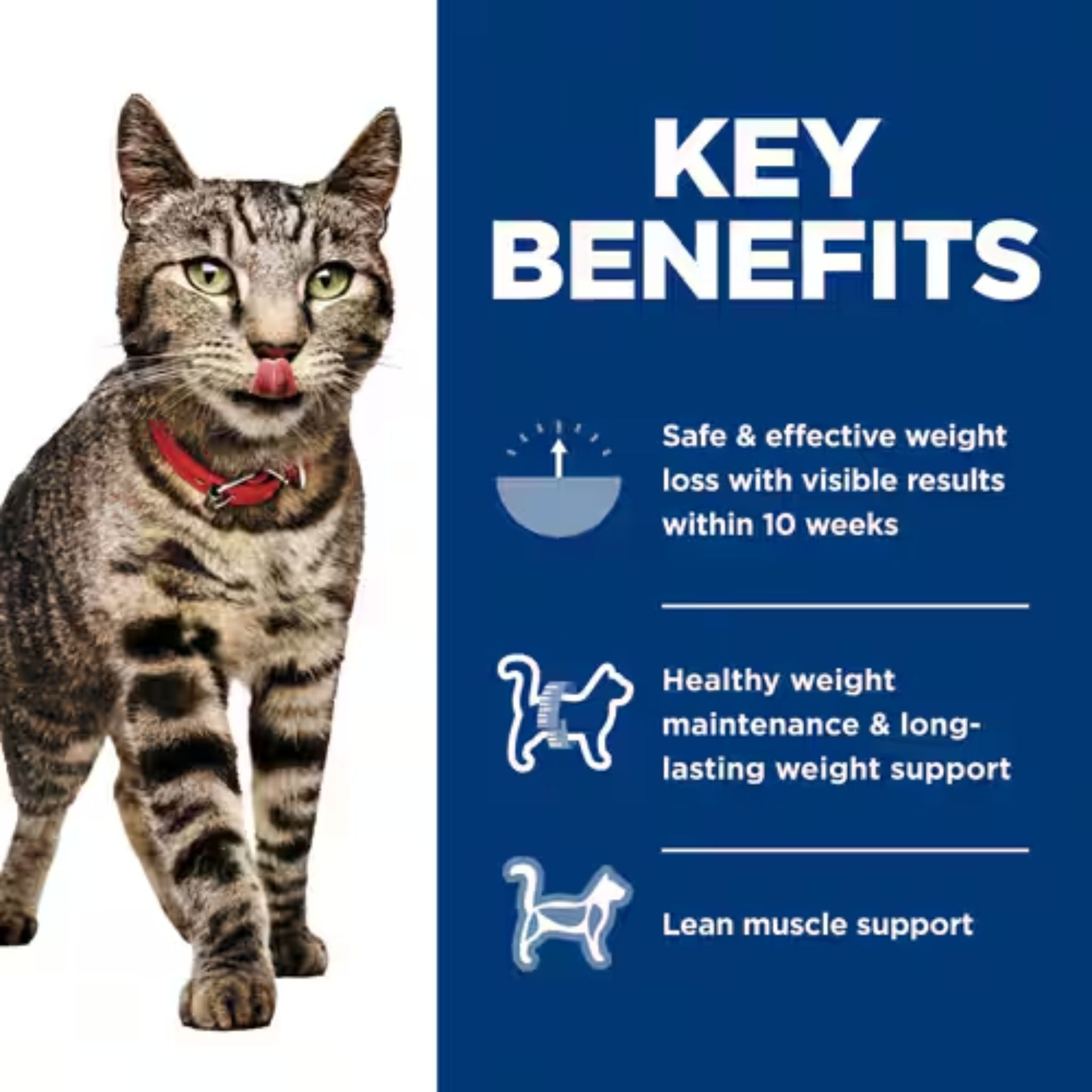 Hill's Science Diet Perfect Weight Salmon & Vegetable Canned Cat Food