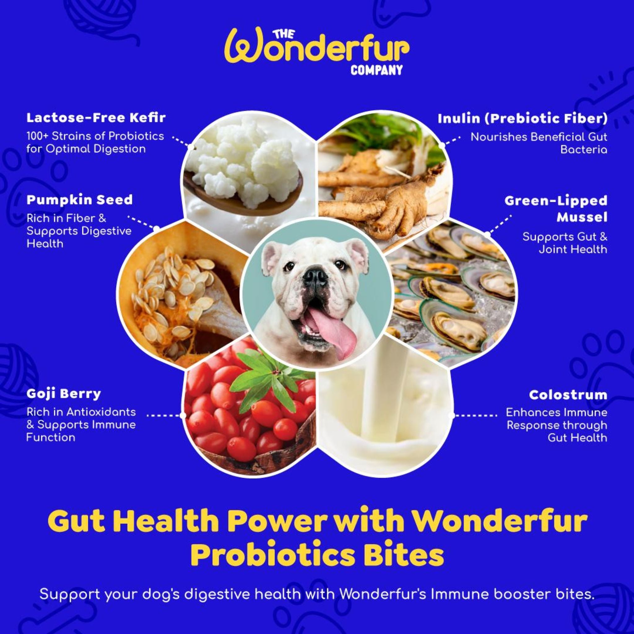 Wonderfur Bites Immune Booster for Dogs