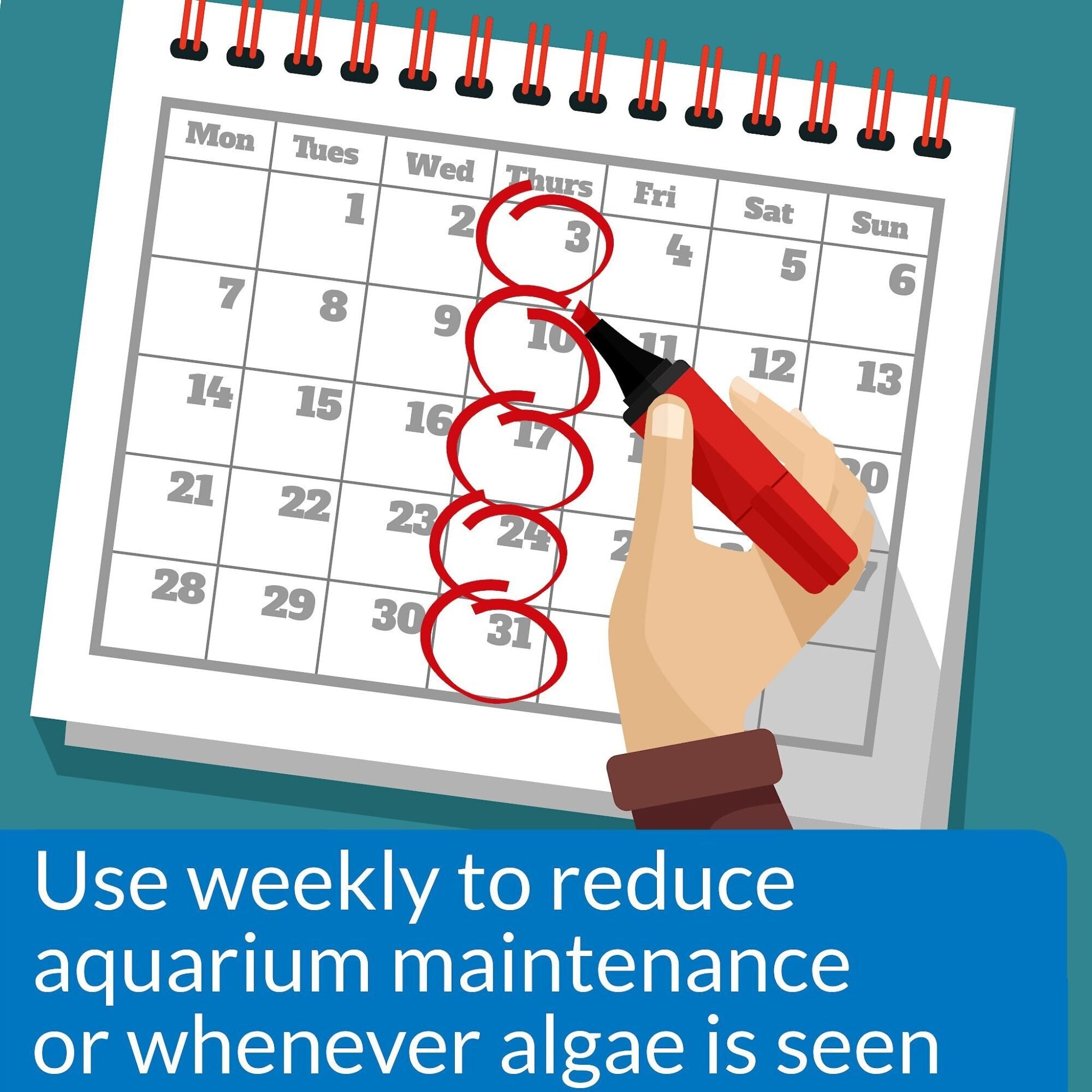 API Pond Algaefix Algae Control Solution