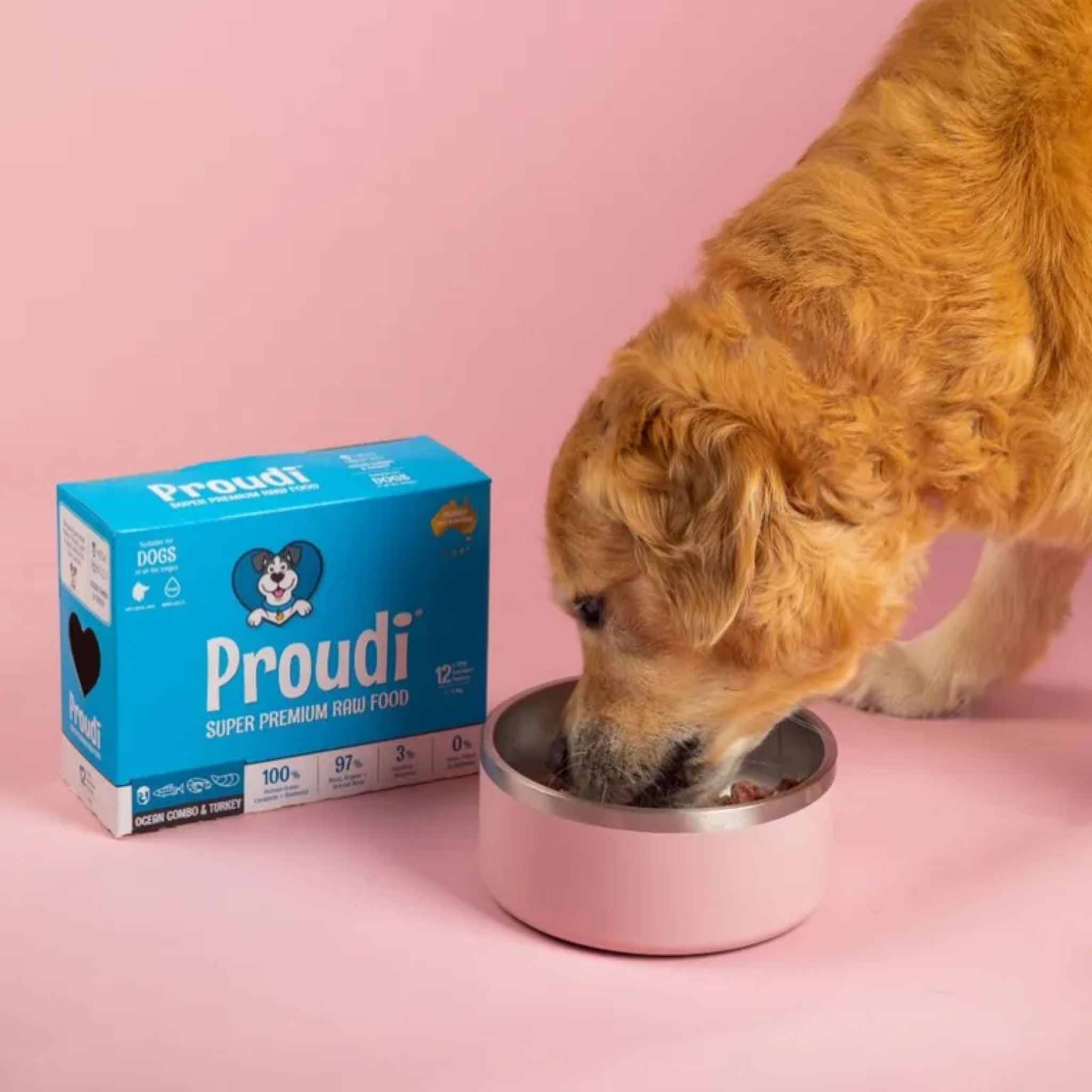 Proudi Ocean Combo and Turkey Raw Patties for Dogs