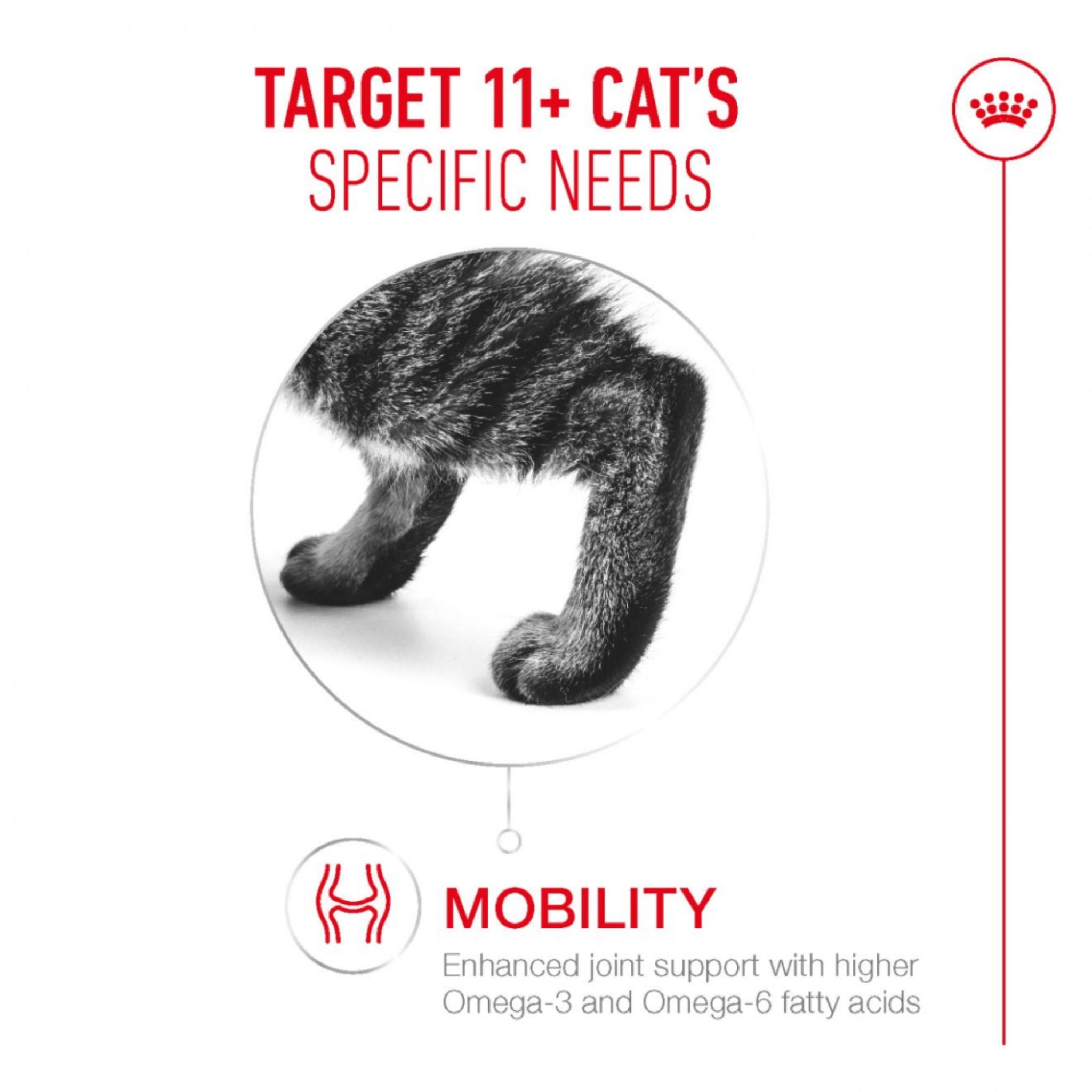 Royal Canin Ageing 11+ Jelly Wet Cat Food