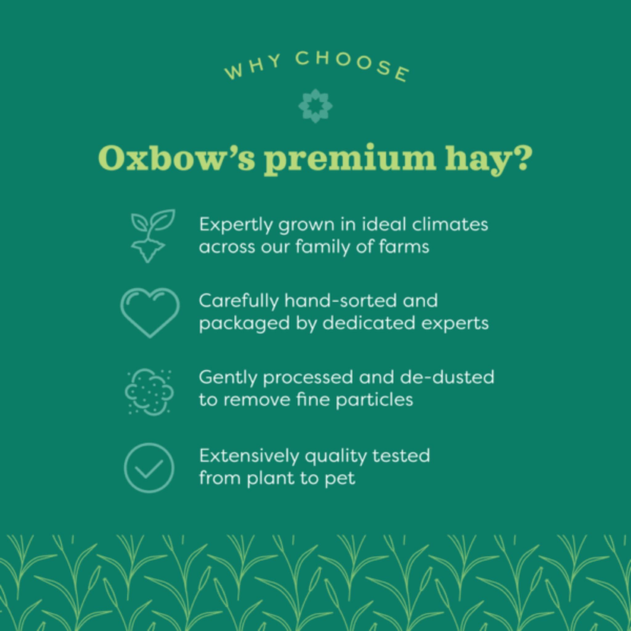 Oxbow Hay Blends - Western Timothy & Orchard Grass