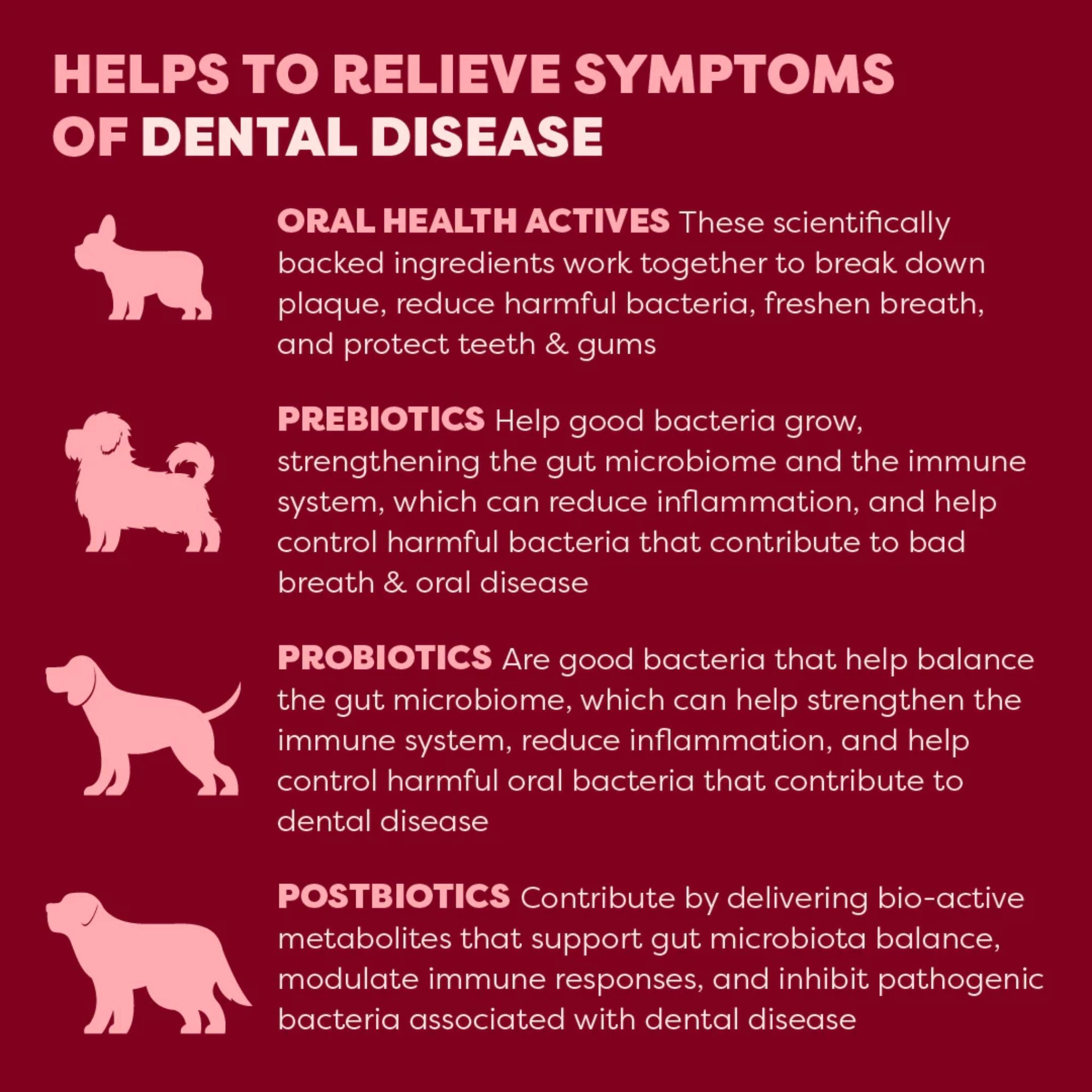 Bell and Bone Dog Dental Topper - Beef