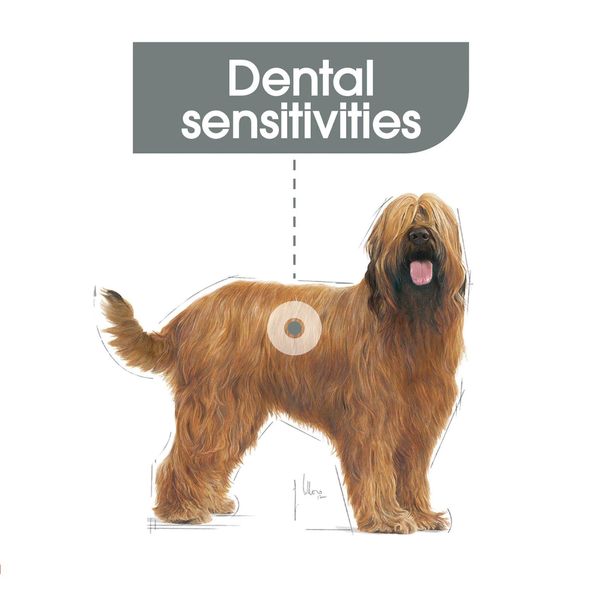 Royal Canin Maxi Dental Care