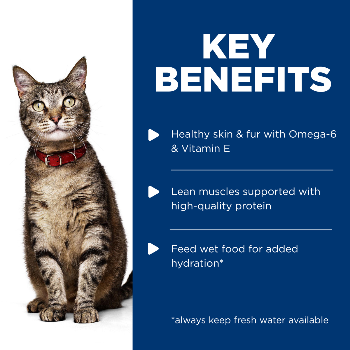 Key benefits panel: omega-6 and vitamin E for skin and fur, lean muscles and added hydration