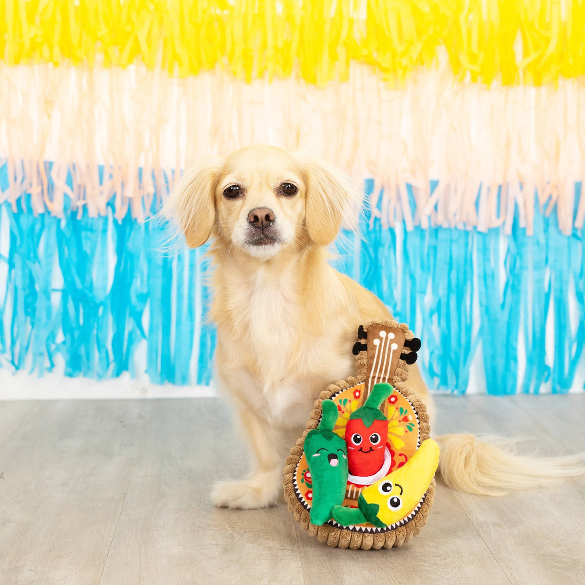Fringe Studio Hide and Seek Dog Toy - Fiesta Till You Siesta — detail