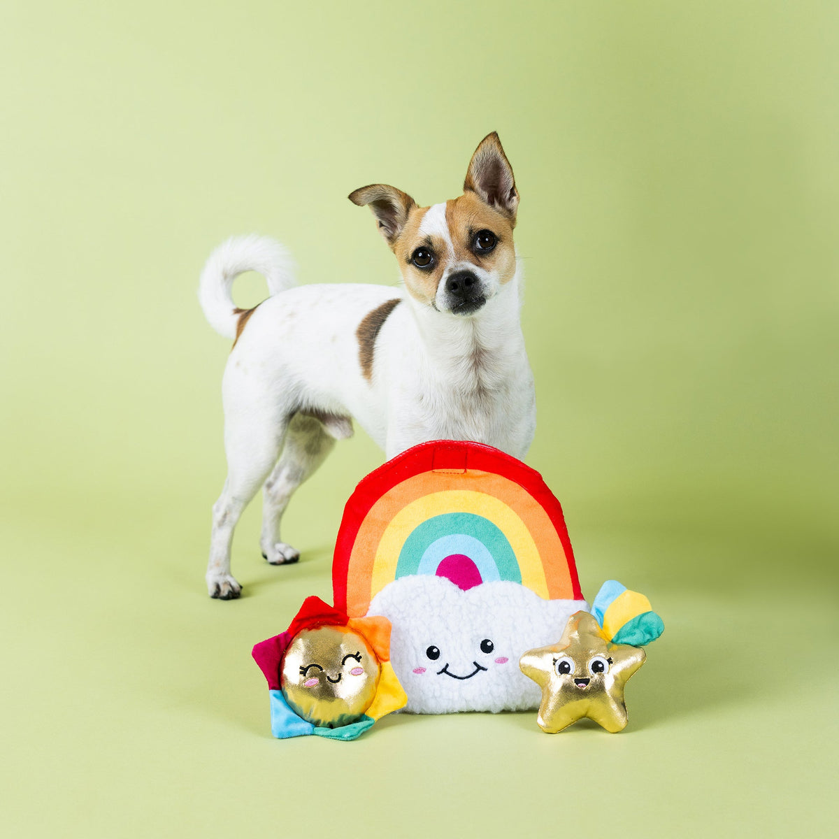 Fringe Studio Hide and Seek Dog Toy - Look on The Bright Side Rainbow — detail