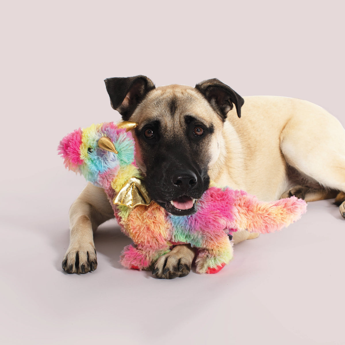 Fringe Studio Plush Squeaker Dog Toy - Ember The Rainbow Dragon — detail
