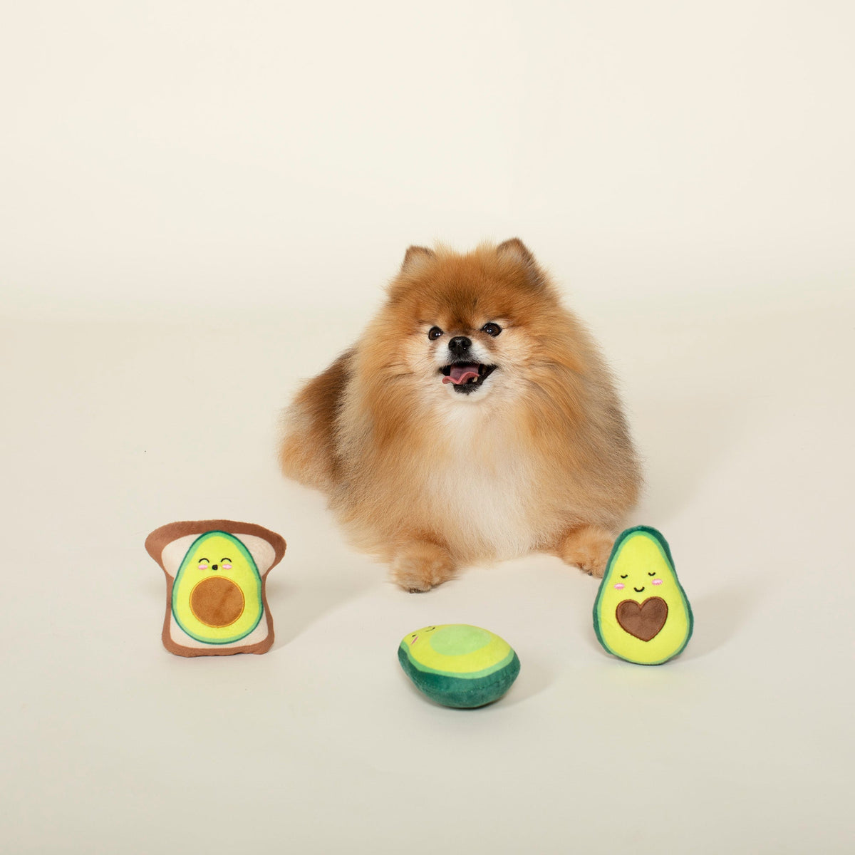 Fringe Studio Plush Dog Toy Set - Avocado on Toast — detail