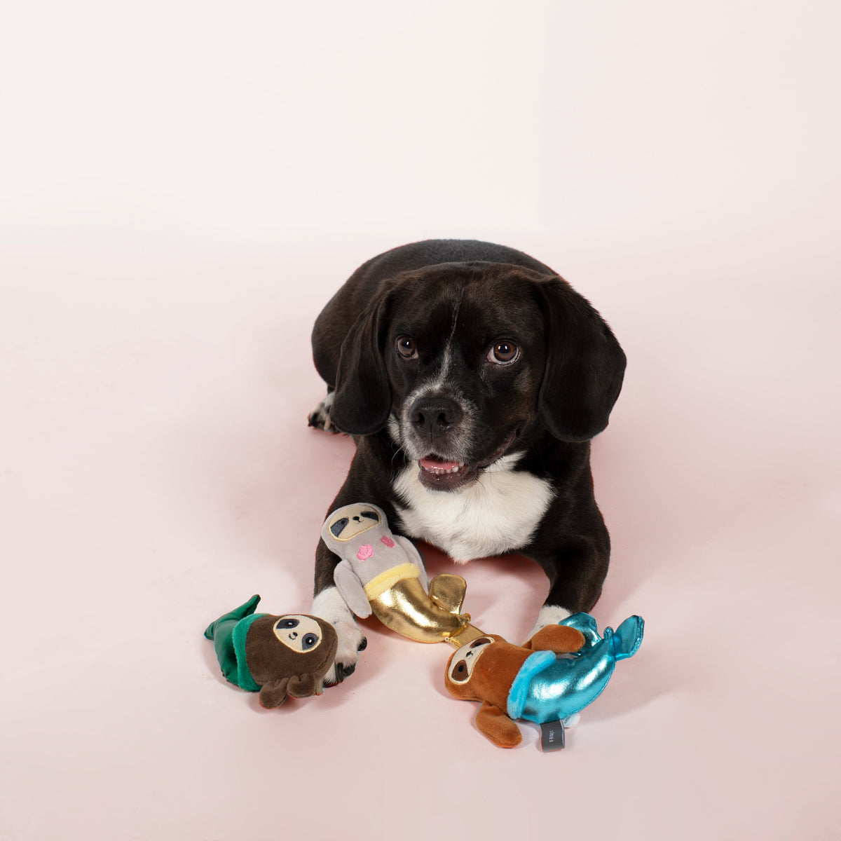 Fringe Studio Plush Dog Toy Set - Mersloth — alternate view