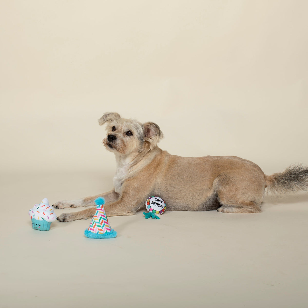Fringe Studio Plush Dog Toy Set - Happy Bark Day — detail