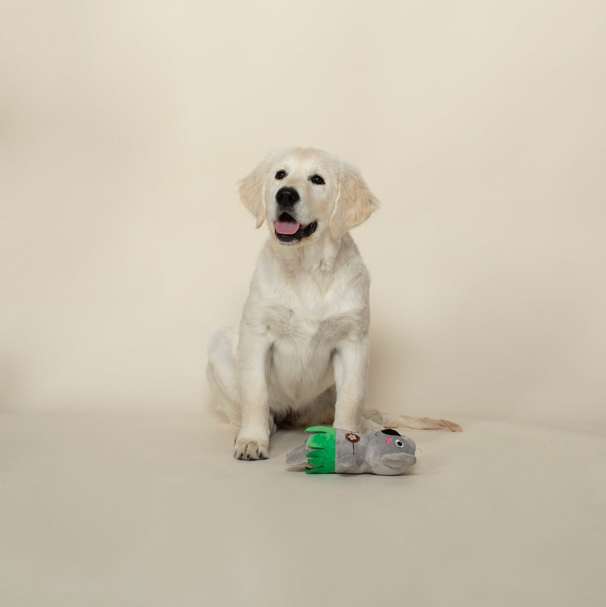 Fringe Studio Plush Squeaker Dog Toy - Shake Your Palm Palms — detail